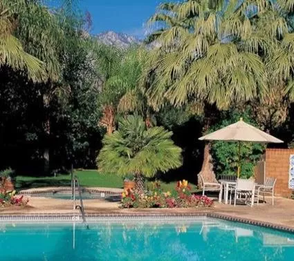 Swimming pool in The Oasis Resort