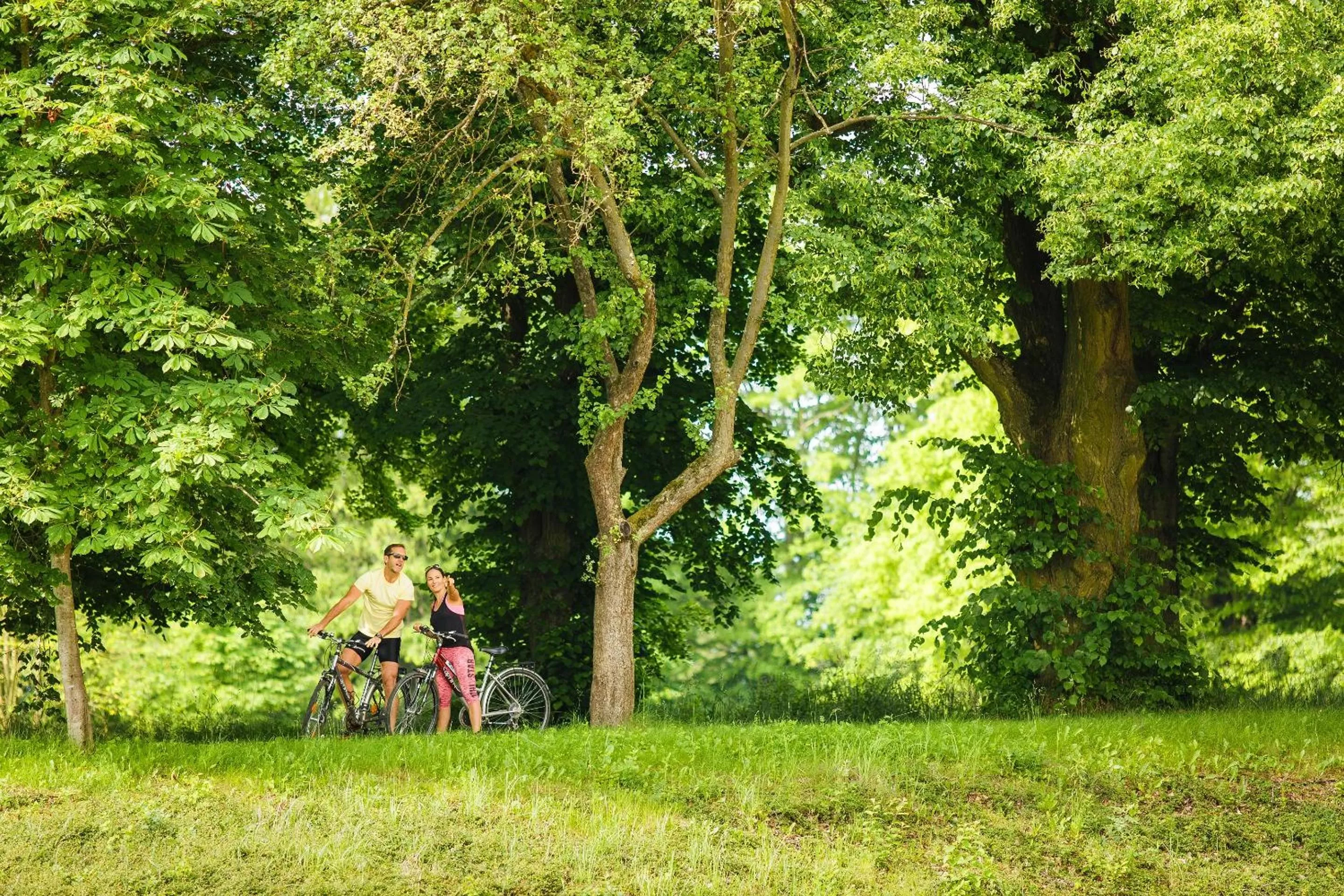 Nearby landmark in Gotthard Therme Hotel & Conference