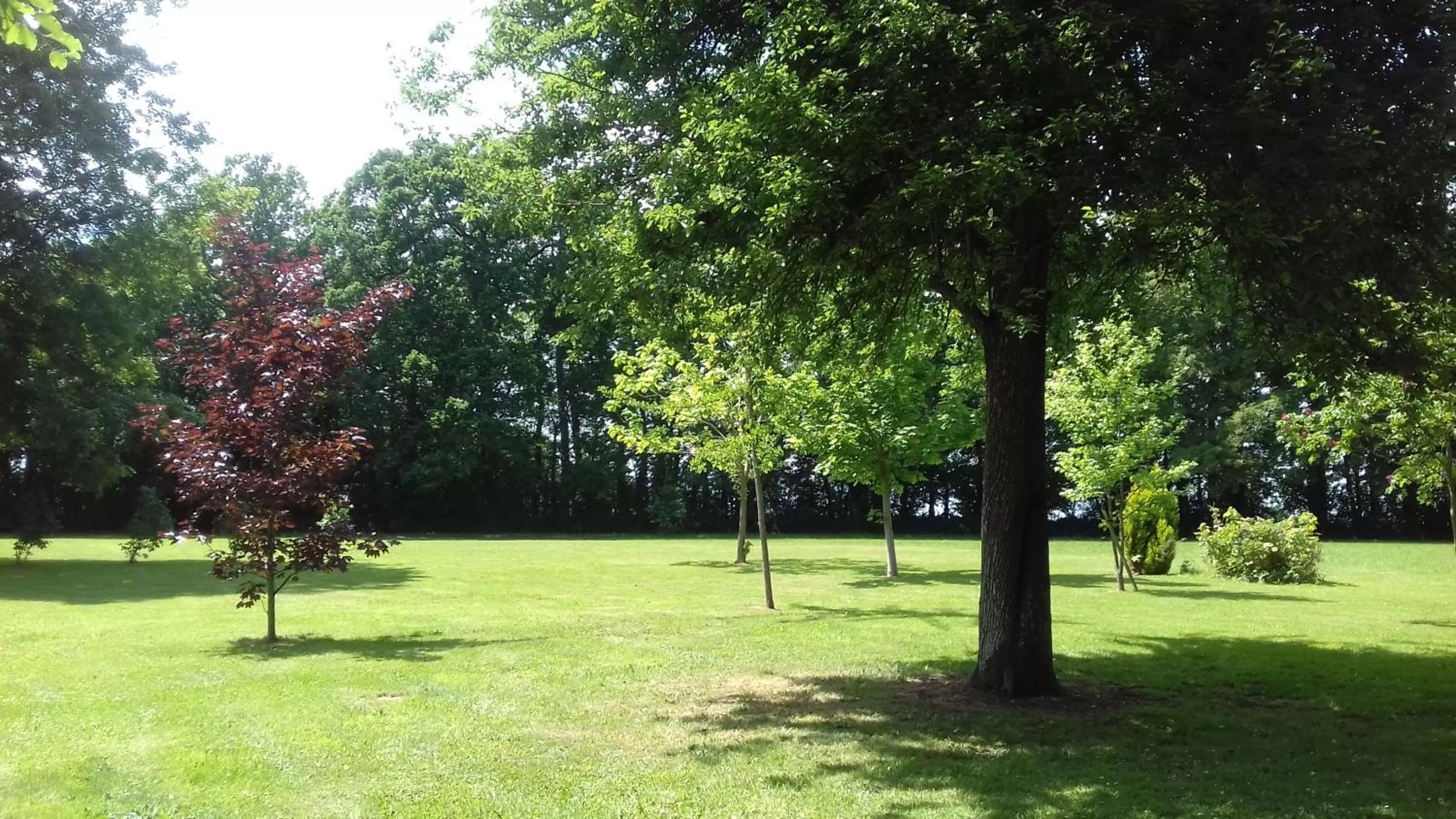 Garden in Château Saint Gilles - Bayeux