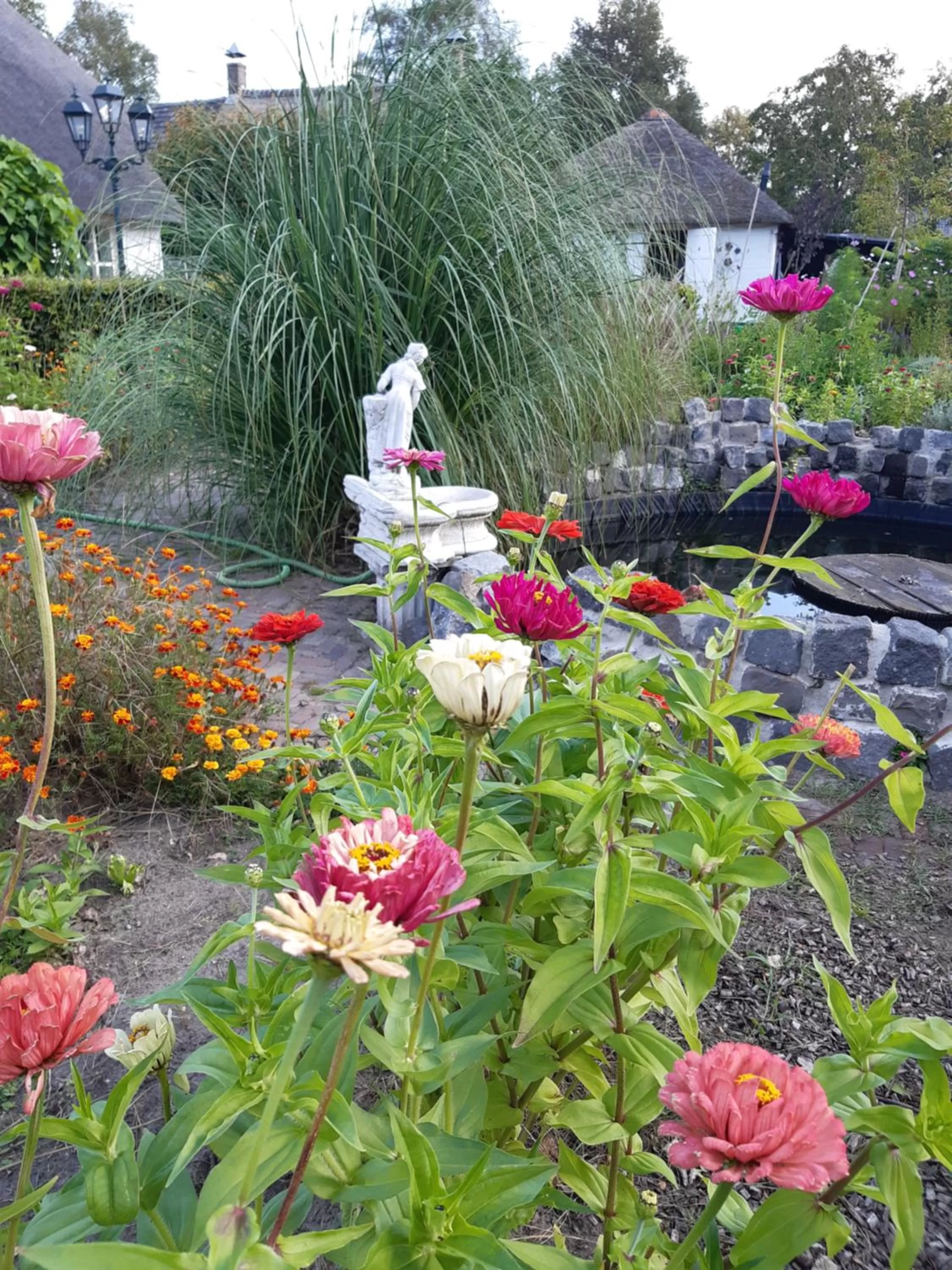 Garden in Bij de Vlaamse Schuur