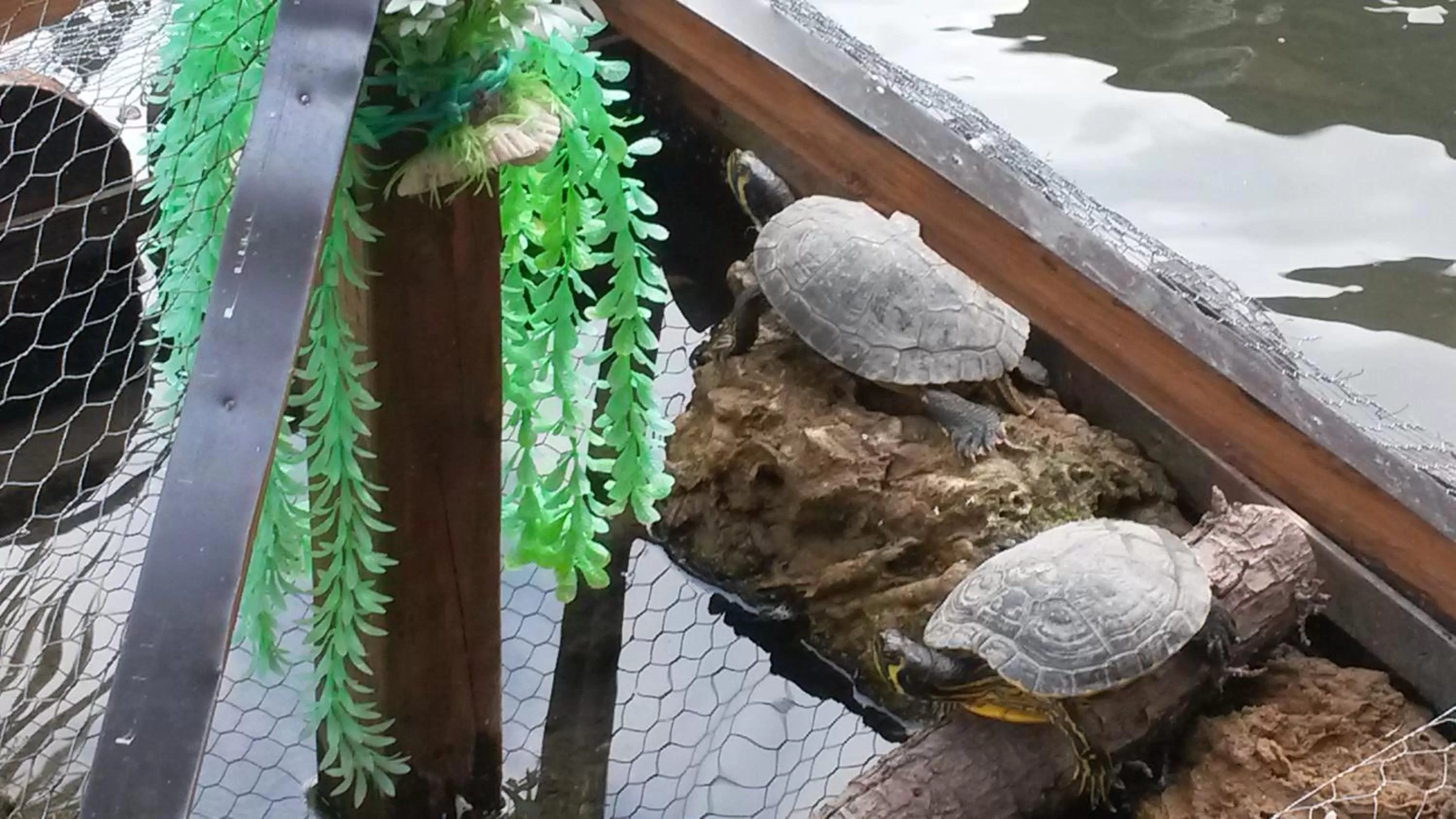 Decorative detail in Il Laghetto