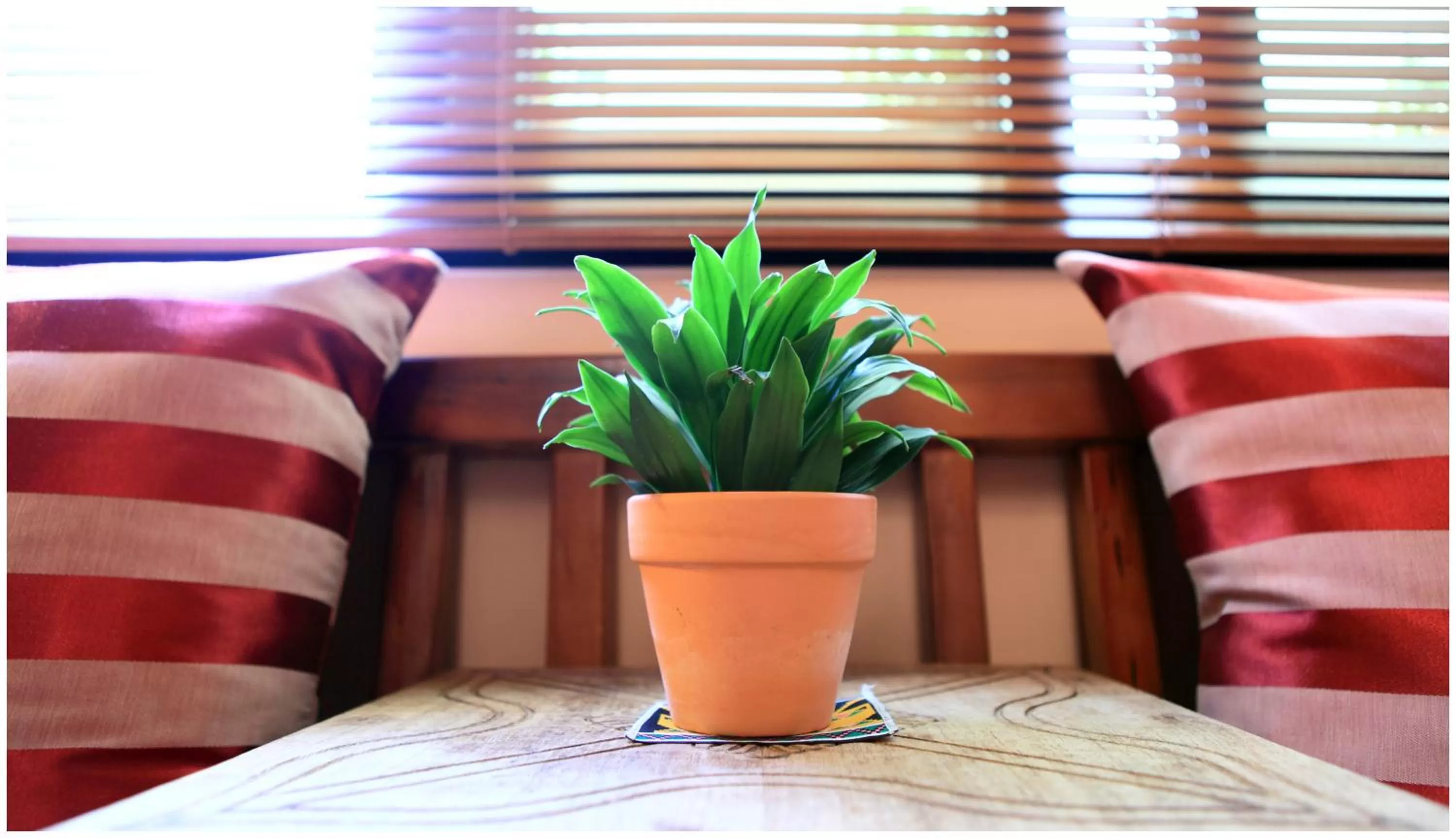 Decorative detail in Errantry Lodge & Studio