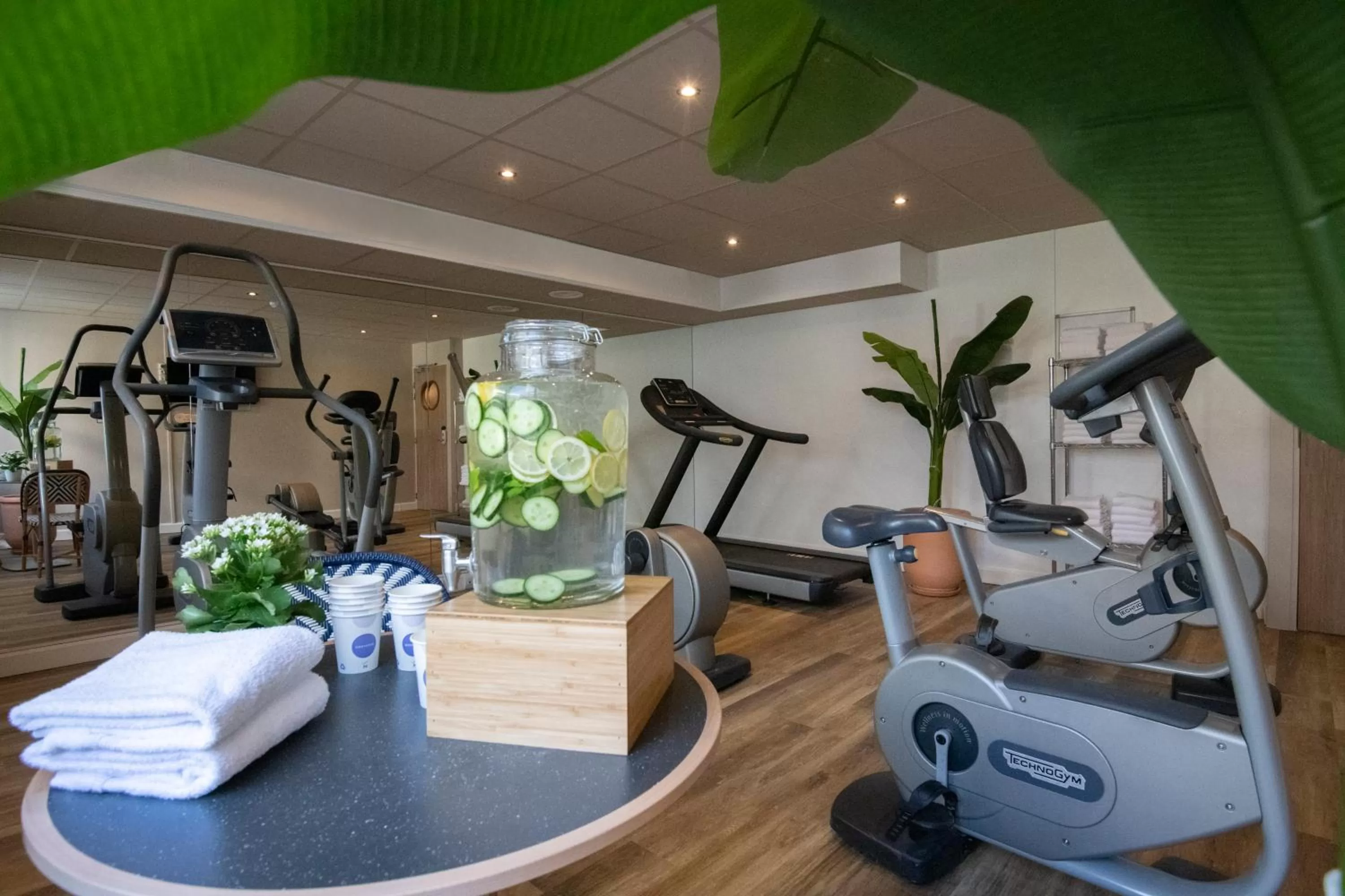 Fitness centre/facilities in Novotel Suites Nice Airport