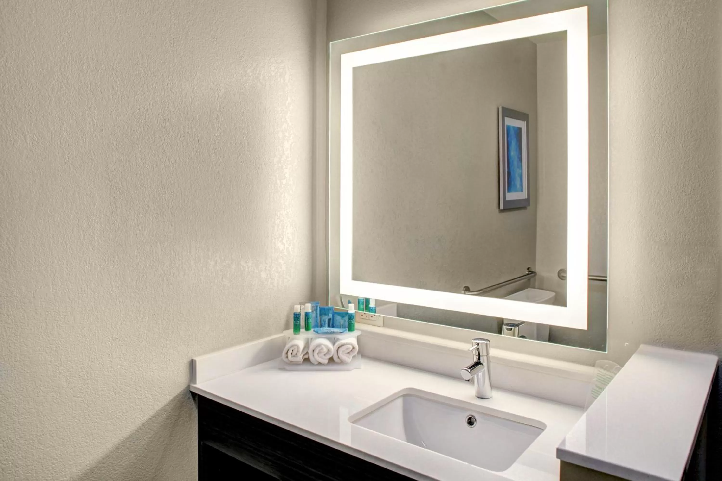 Bathroom in Holiday Inn Express & Suites Coldwater by IHG