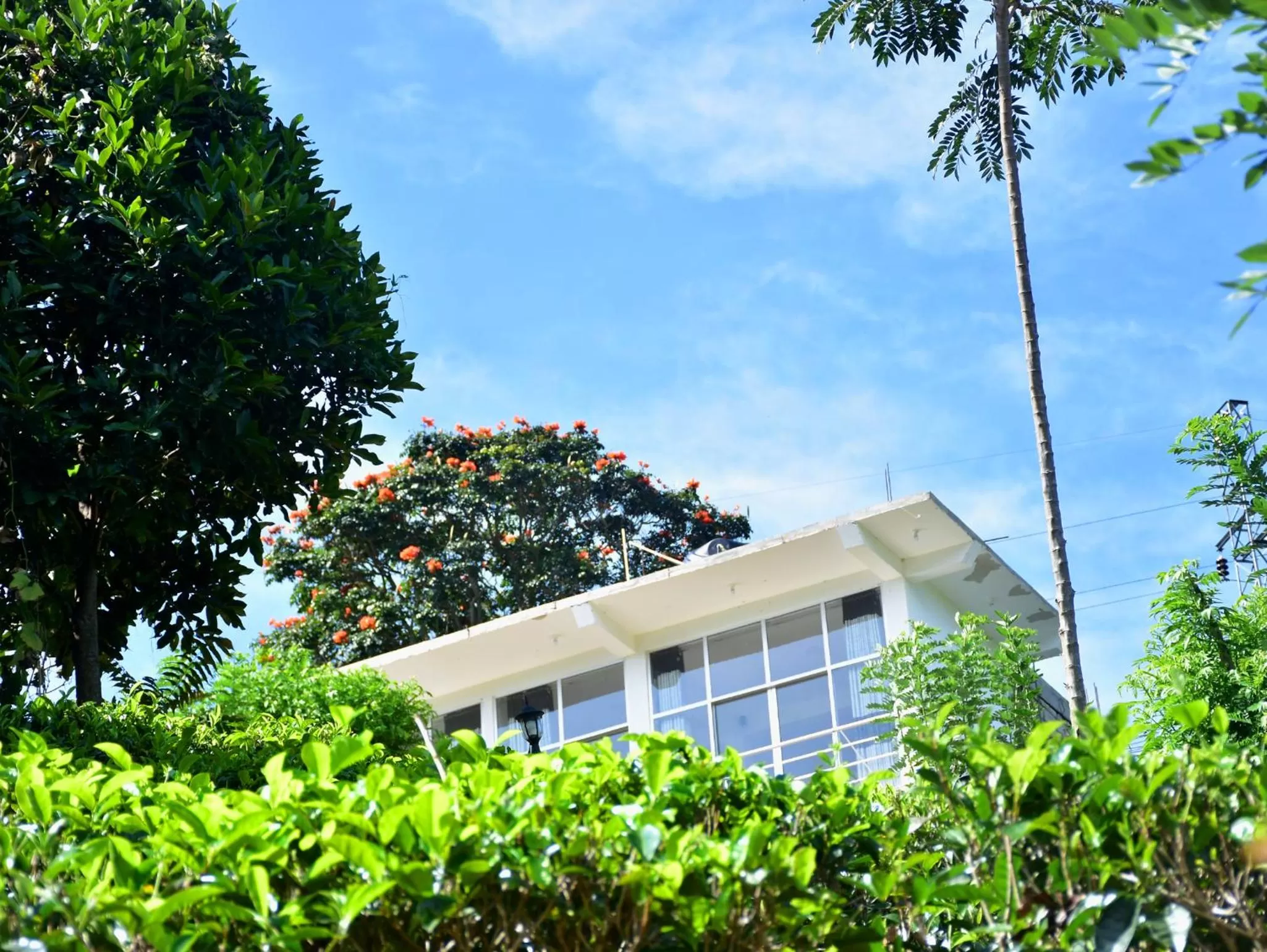 Property Building in Ornateview Hotel