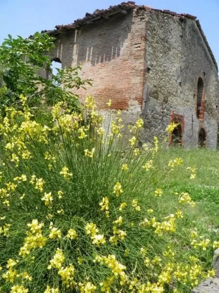 Casa dell' Abbondanza B&B Agriturismo