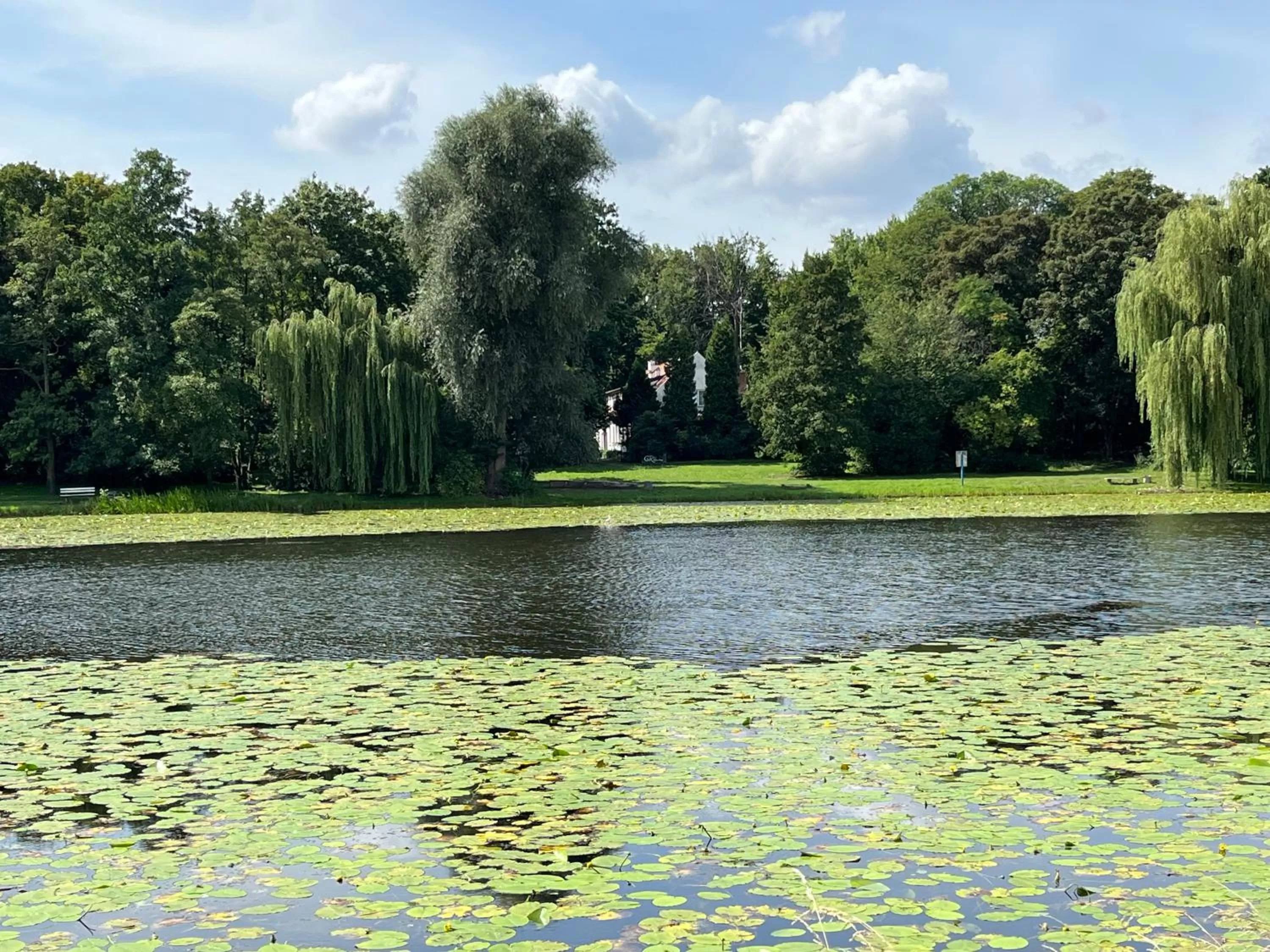 Natural landscape in Dedek Park - historyczny dworek w pięknym Parku Skaryszewskim obok Stadionu Narodowego
