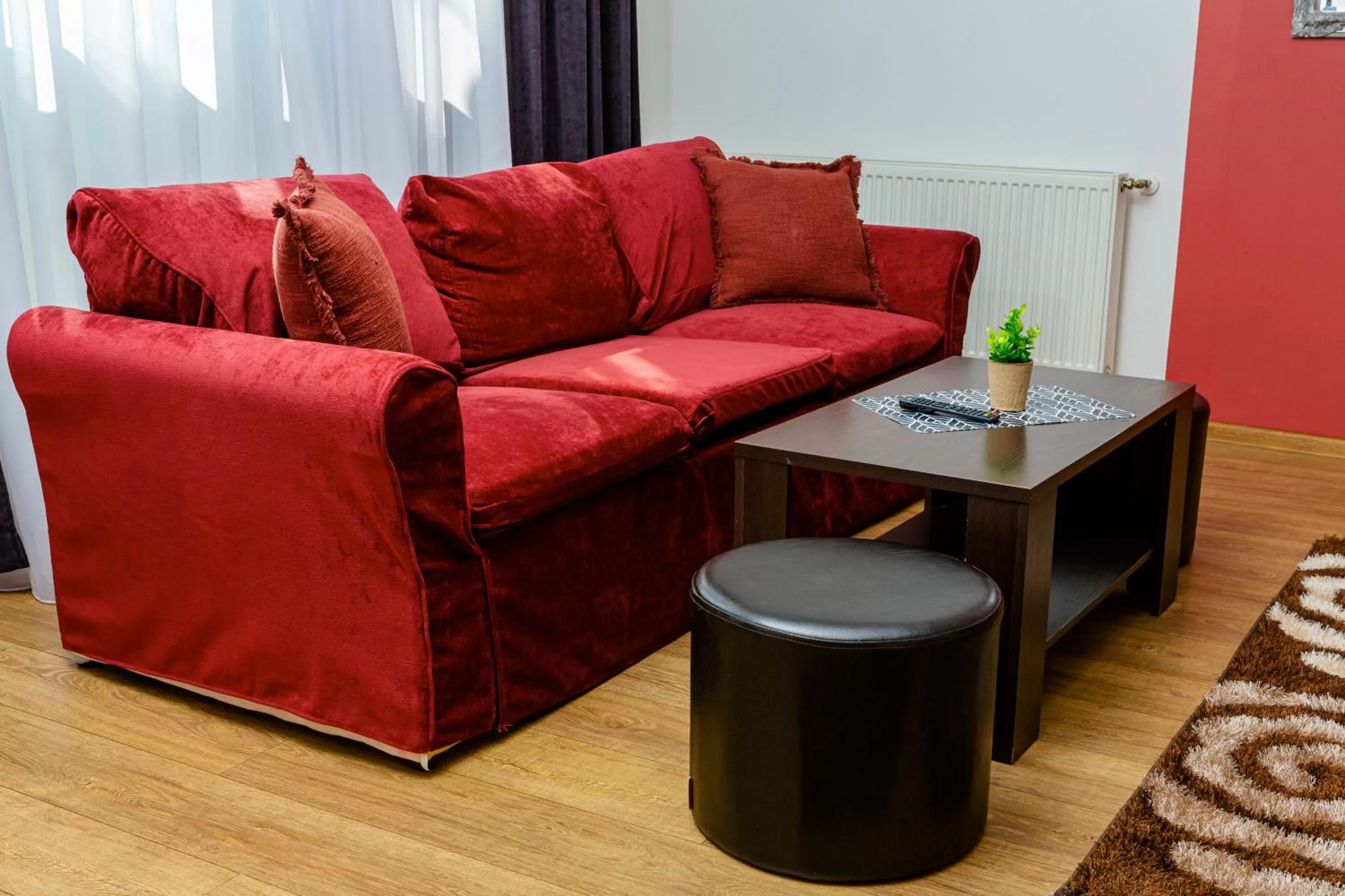 Living room, Seating Area in Pensiunea Pictorilor