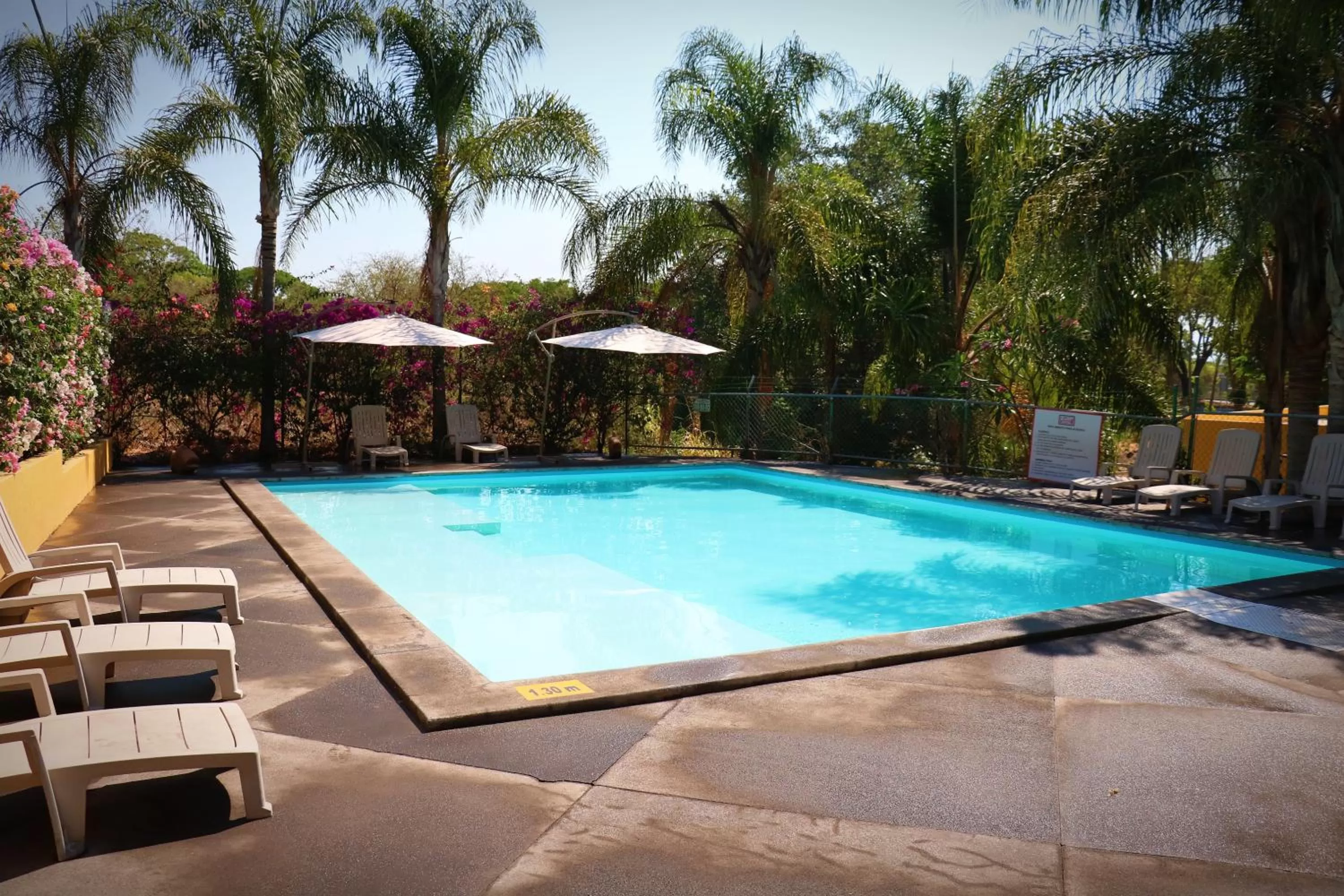 Swimming pool in Zar Colima