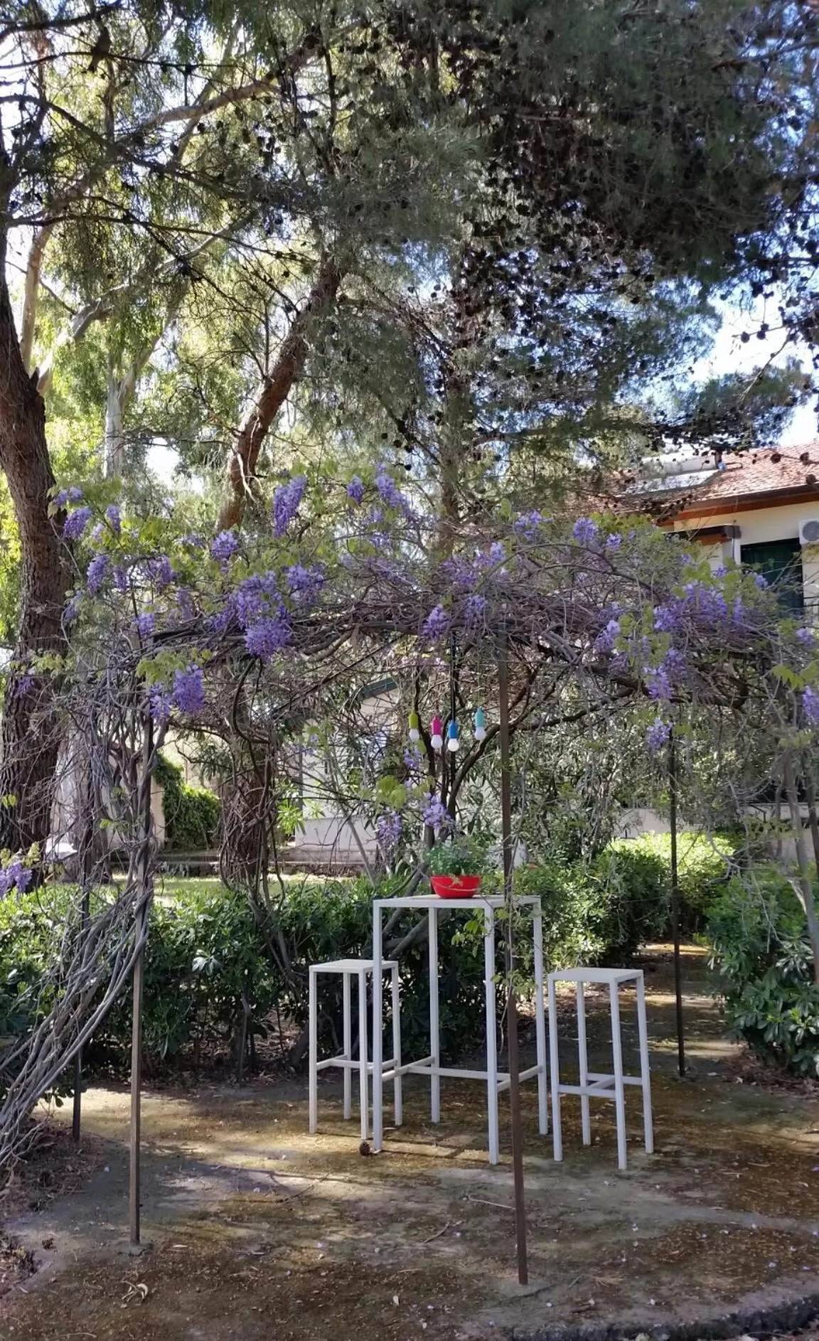 Garden in Villa Morgante B&B