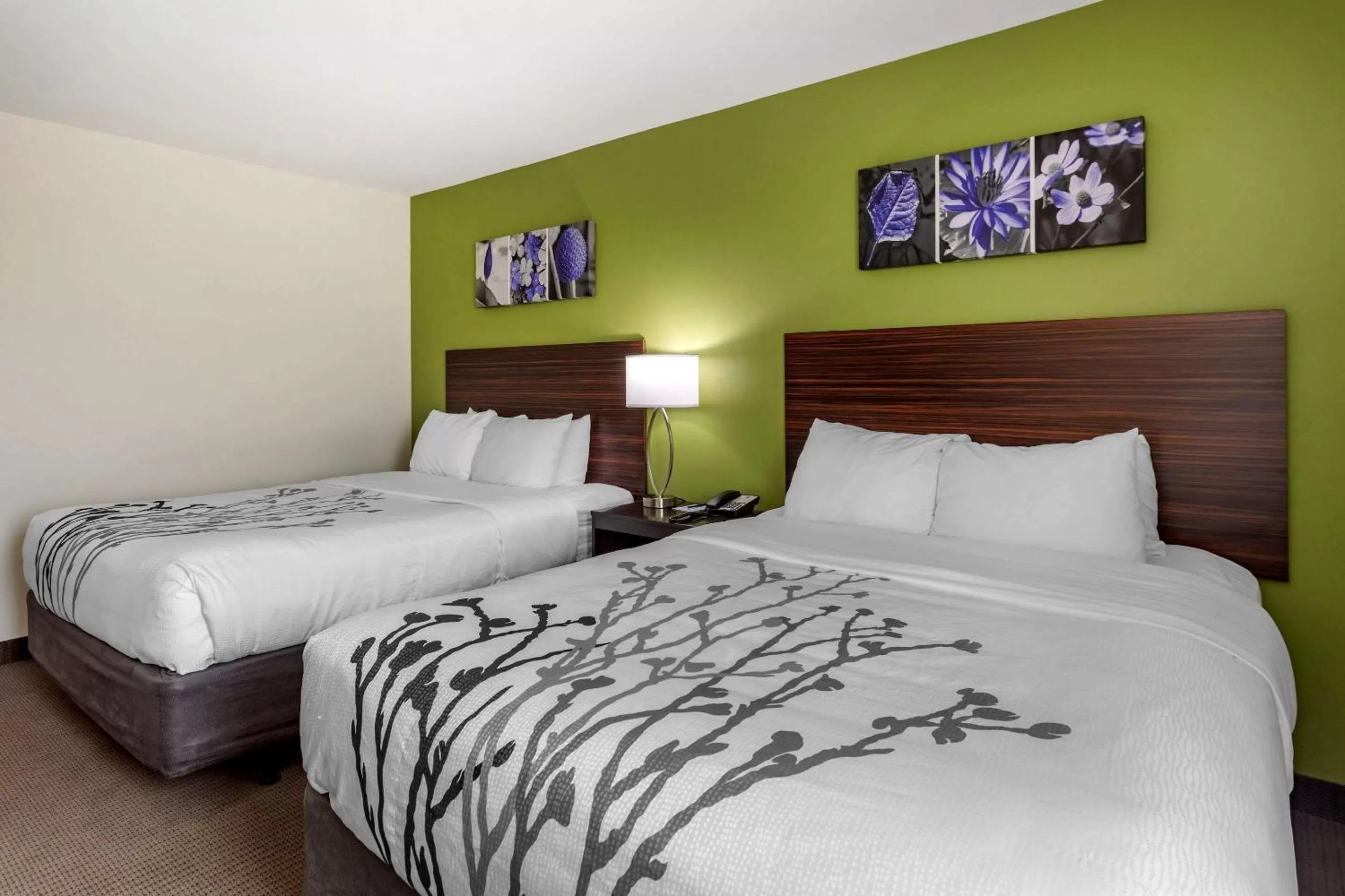 Photo of the whole room in Sleep Inn Bowling Green North