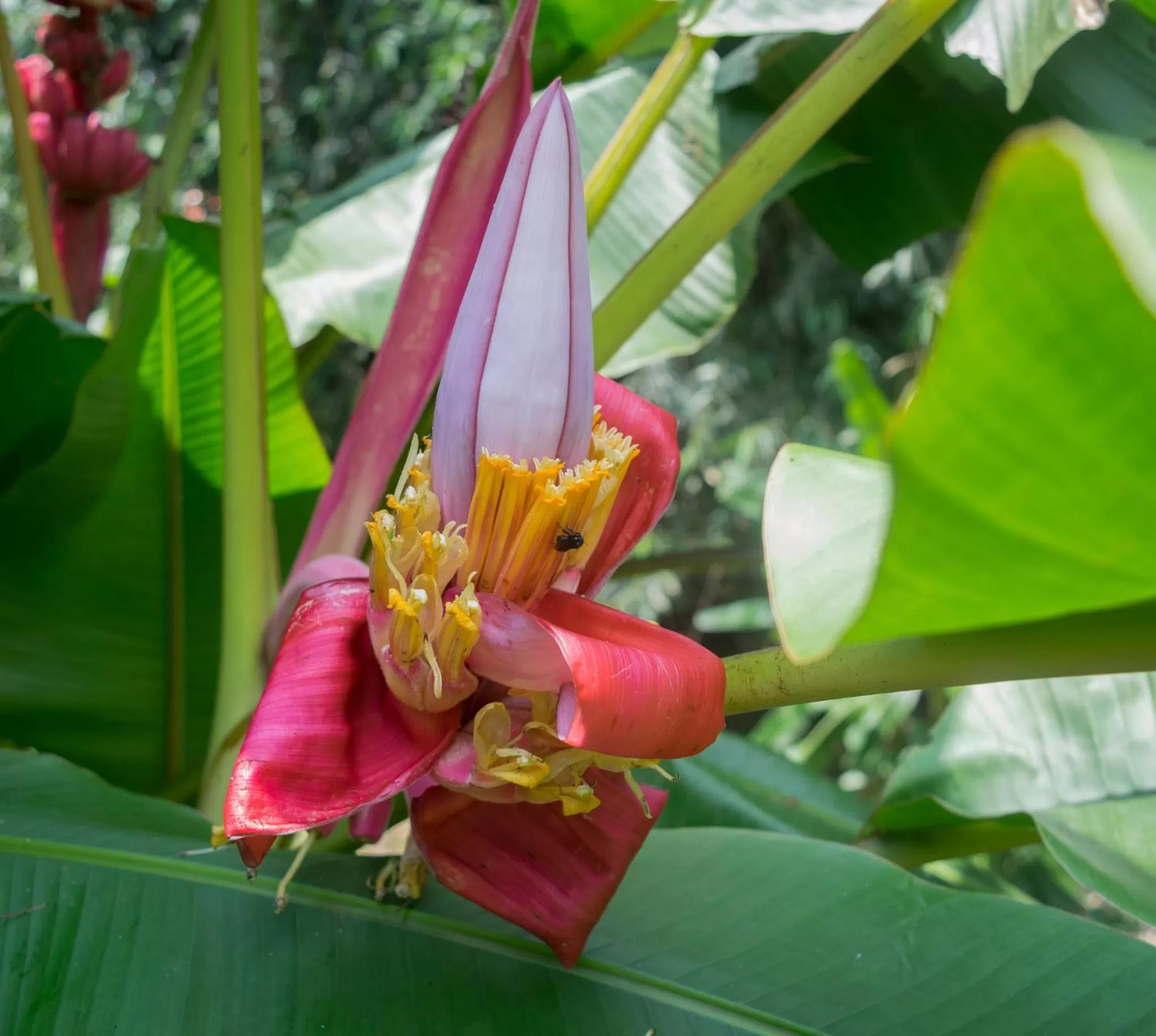 Garden in Hotel Kokoro Mineral Hot Springs