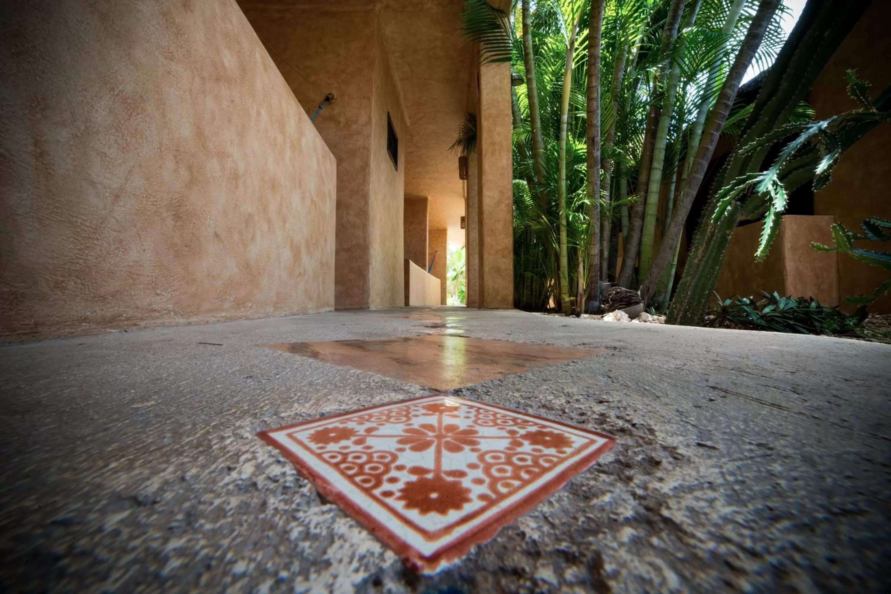 Balcony/Terrace in Hotel Barrio Latino