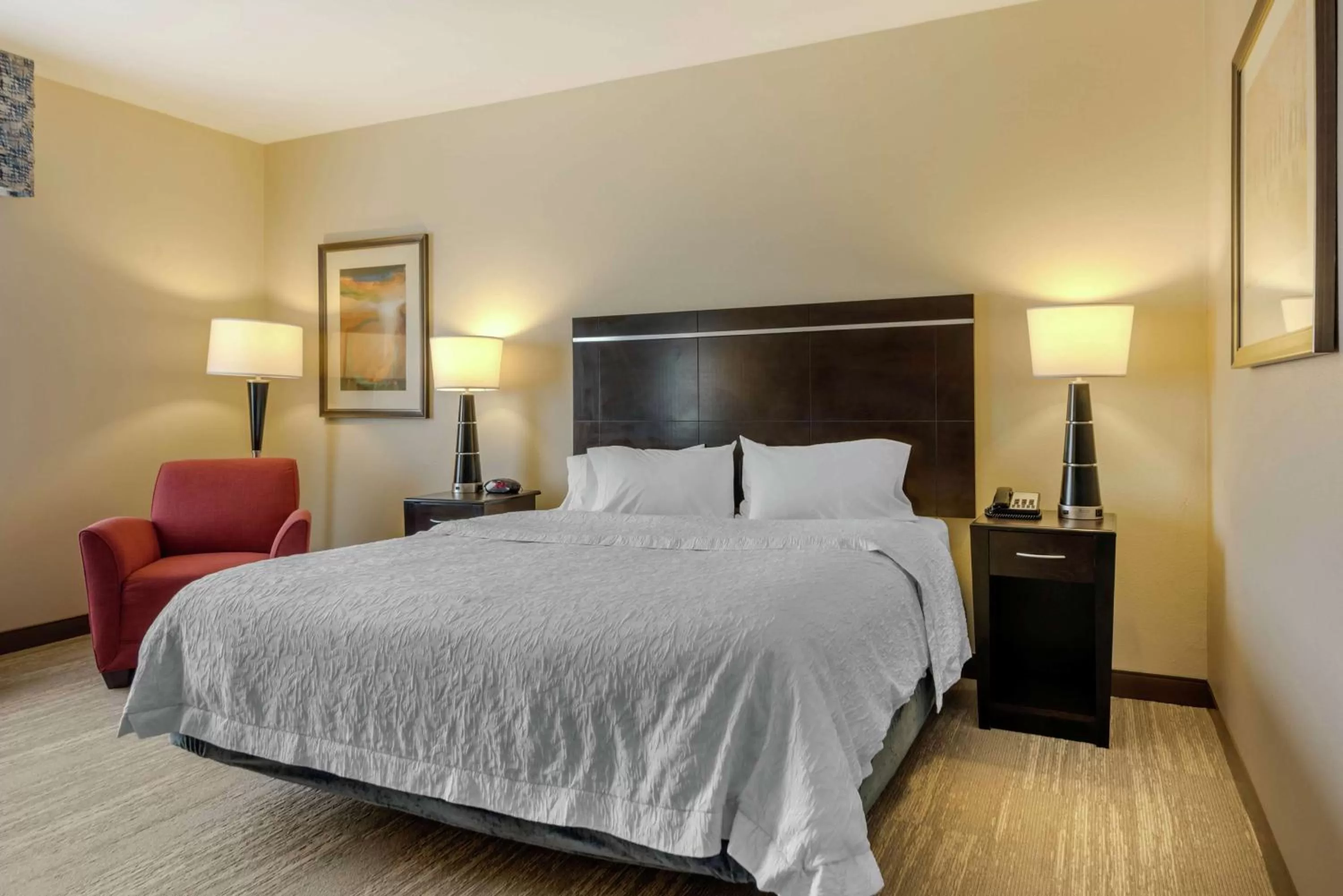 Standard King Room in Hampton Inn Alamosa