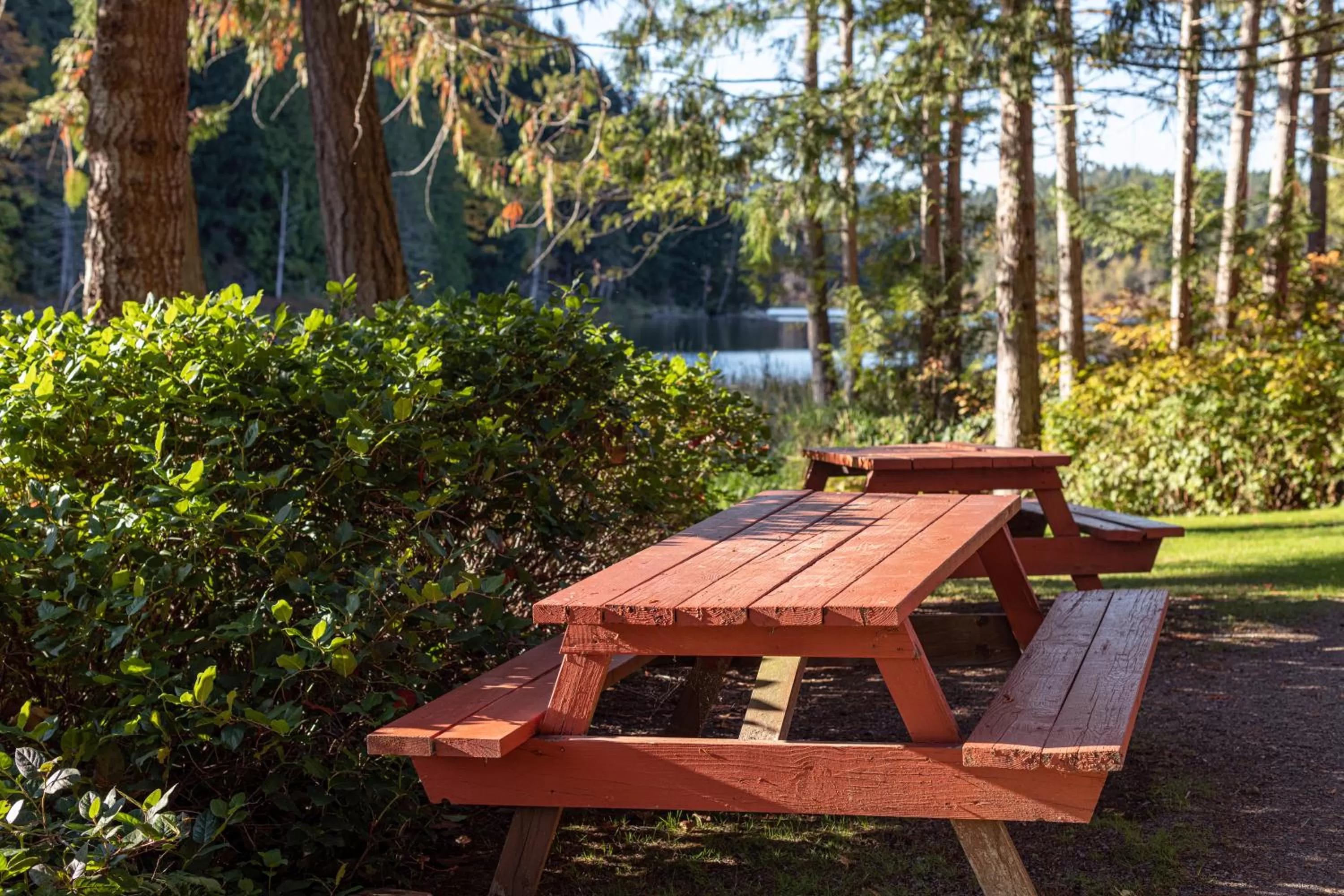 BBQ facilities in Cusheon Lake Resort