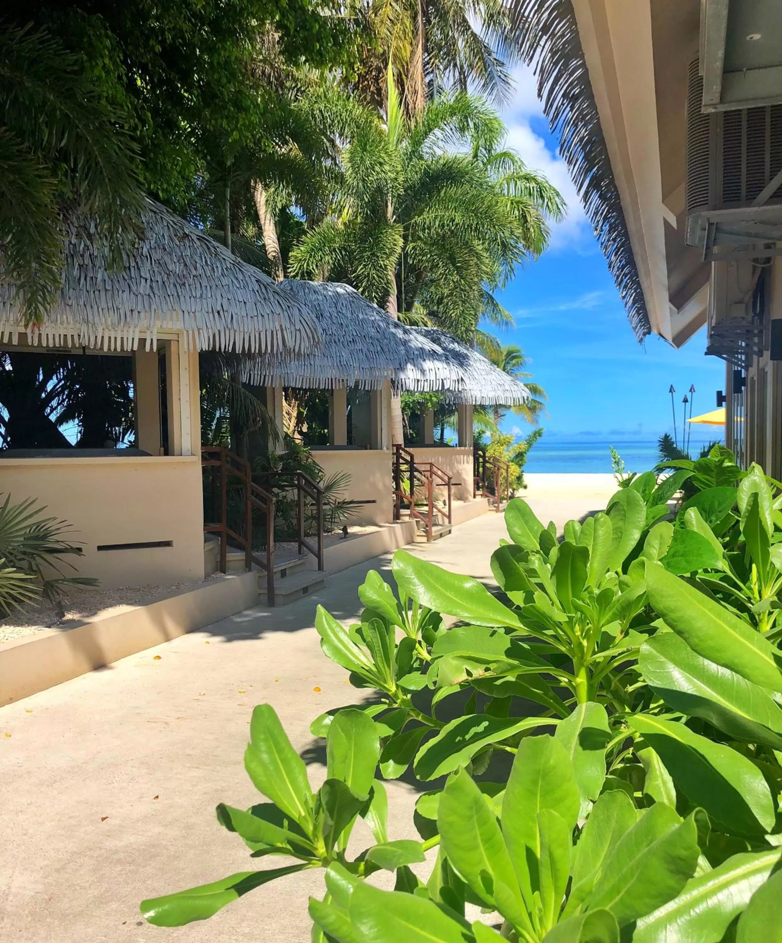 Restaurant/places to eat in Surfrider Resort Hotel