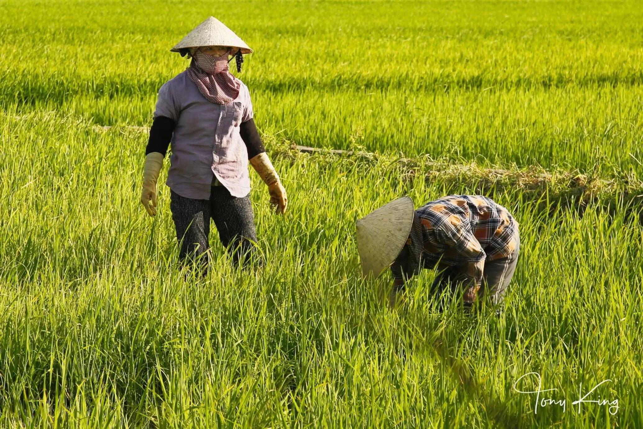 People in The Watermark Beachside Hotel