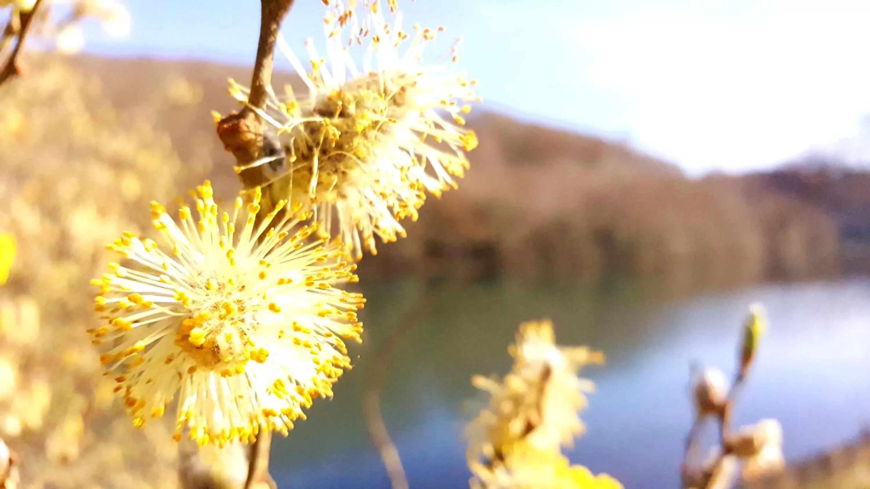 Natural landscape in Schooner Point Guest House