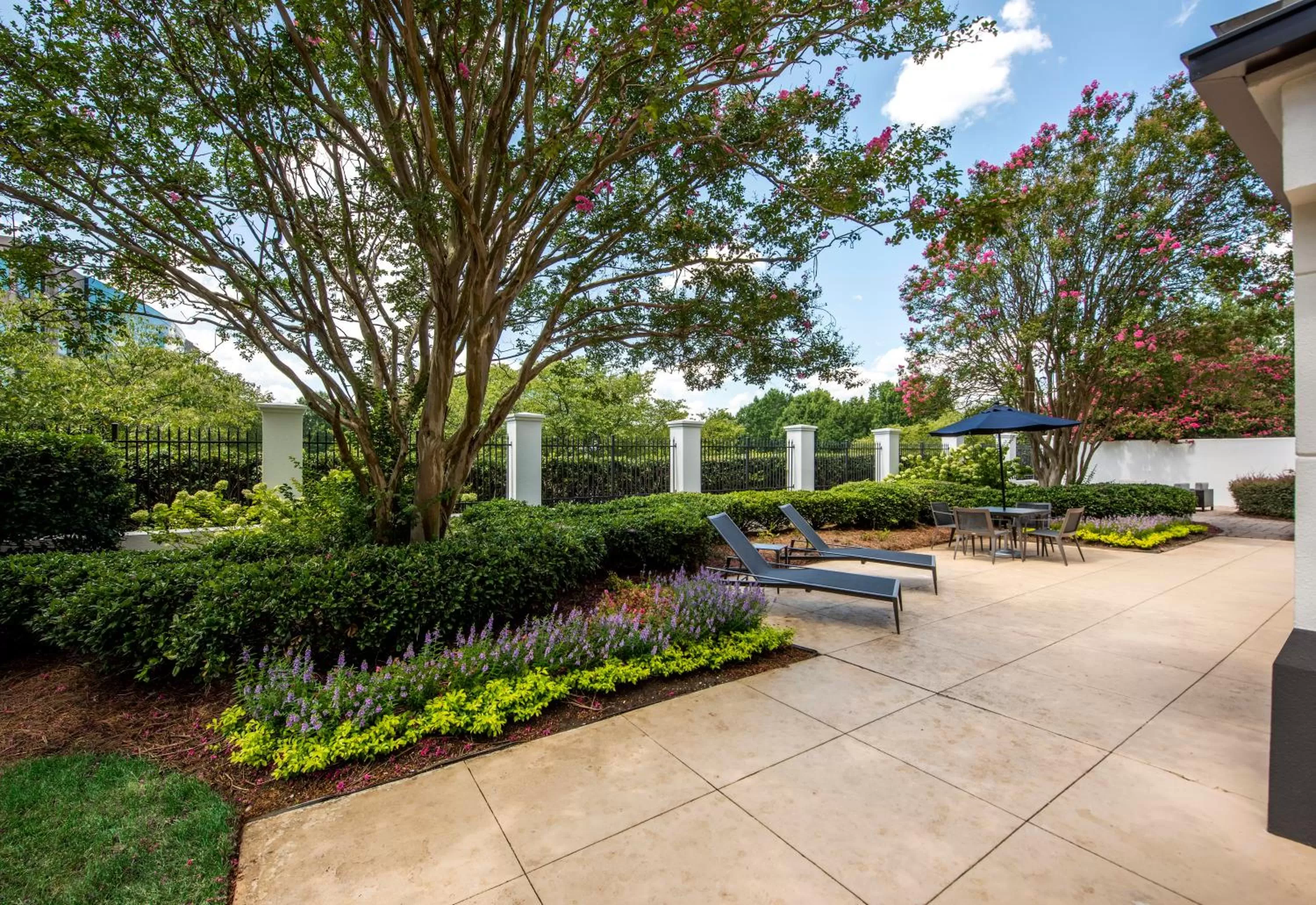 Patio in Courtyard by Marriott Charlotte Ballantyne