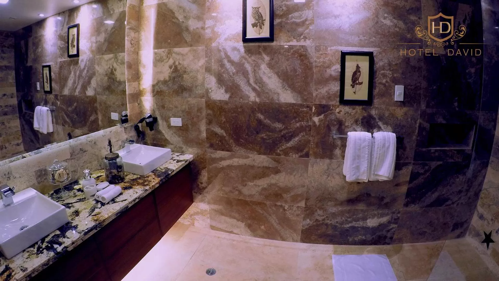 Bathroom in Hotel David