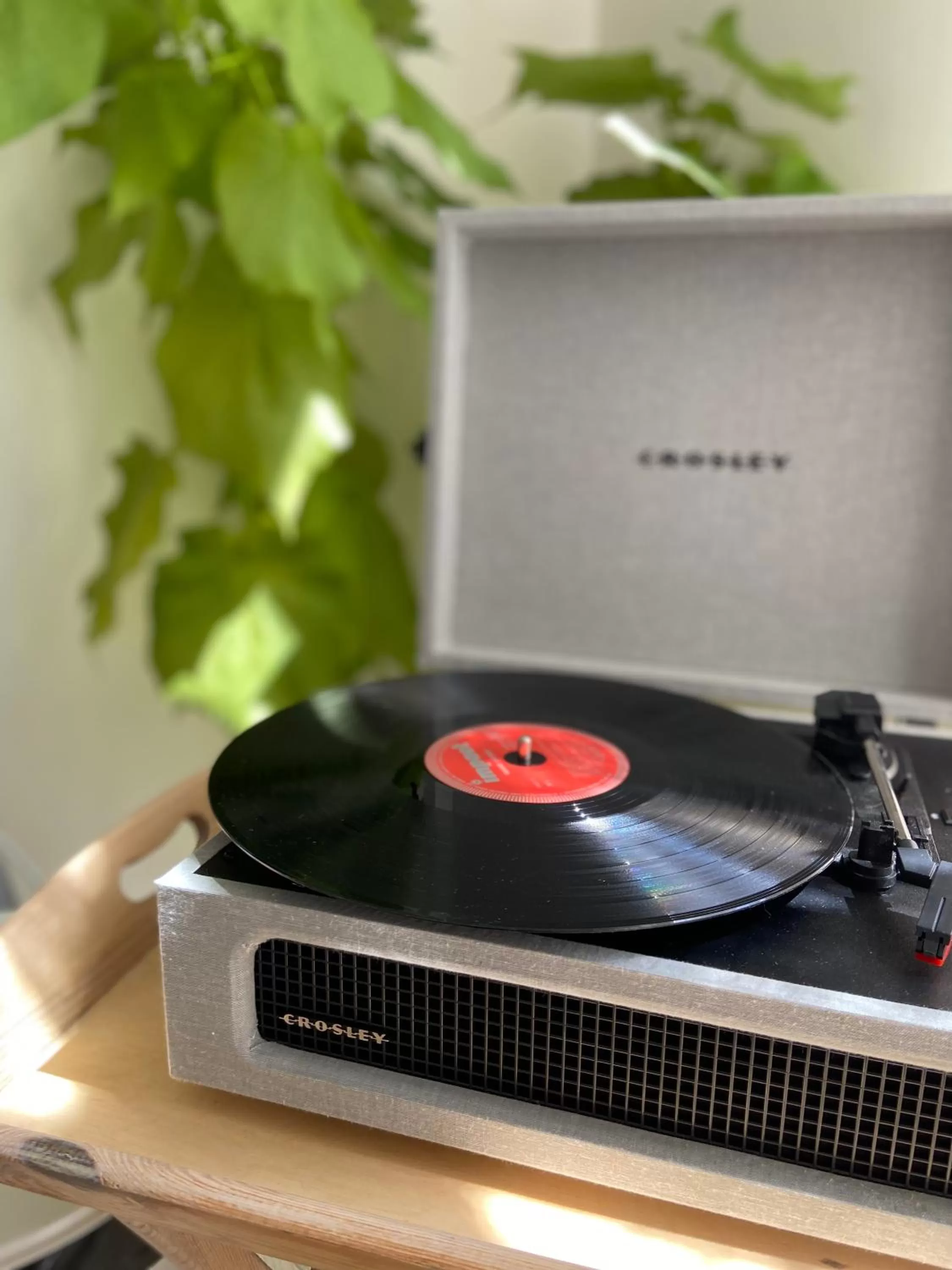 Communal kitchen, Kitchen/Kitchenette in B&B Het Atelier