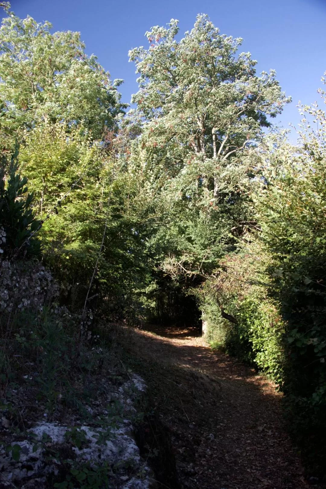 Garden in La Charentine