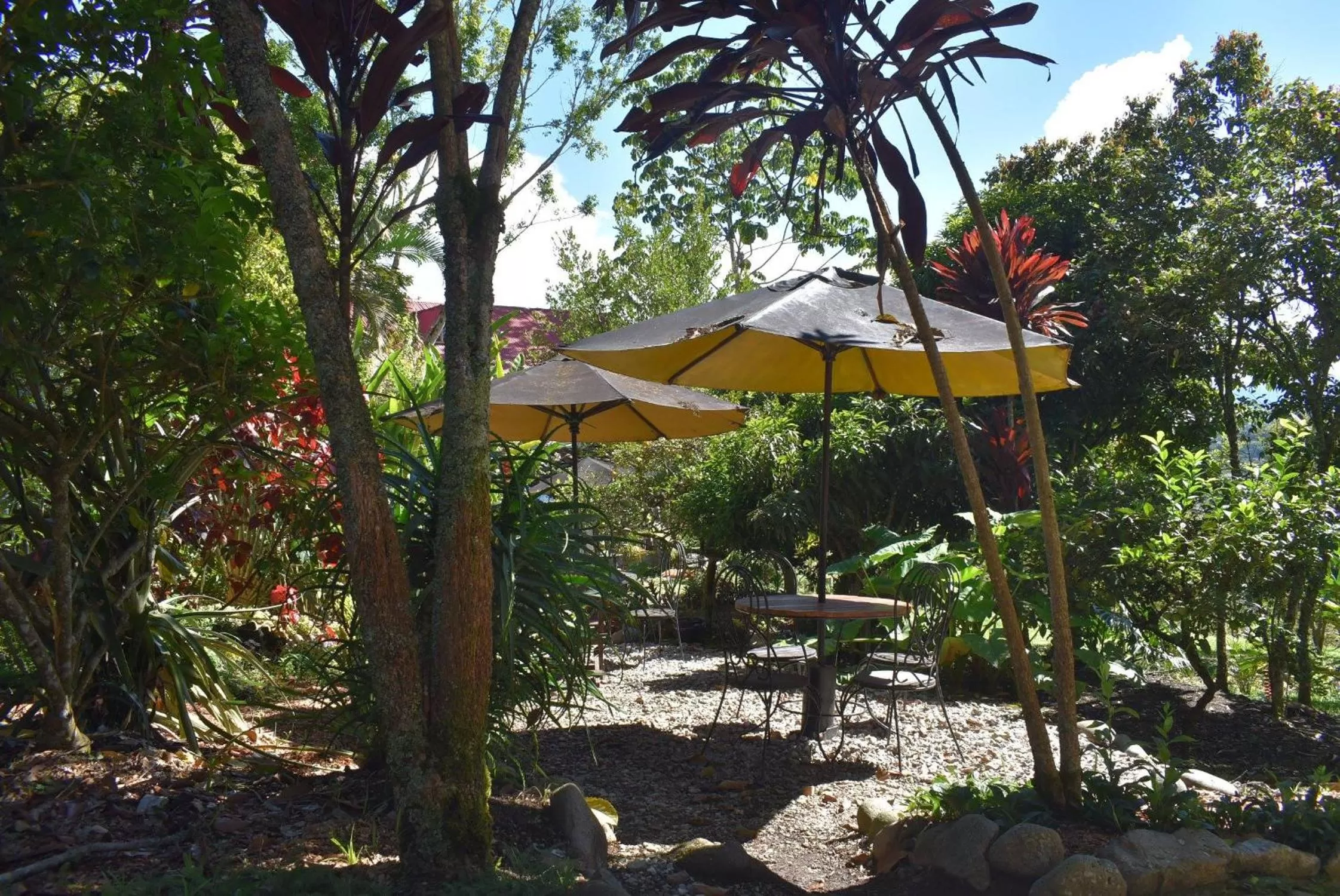 Day in Hotel La Casa de Francois