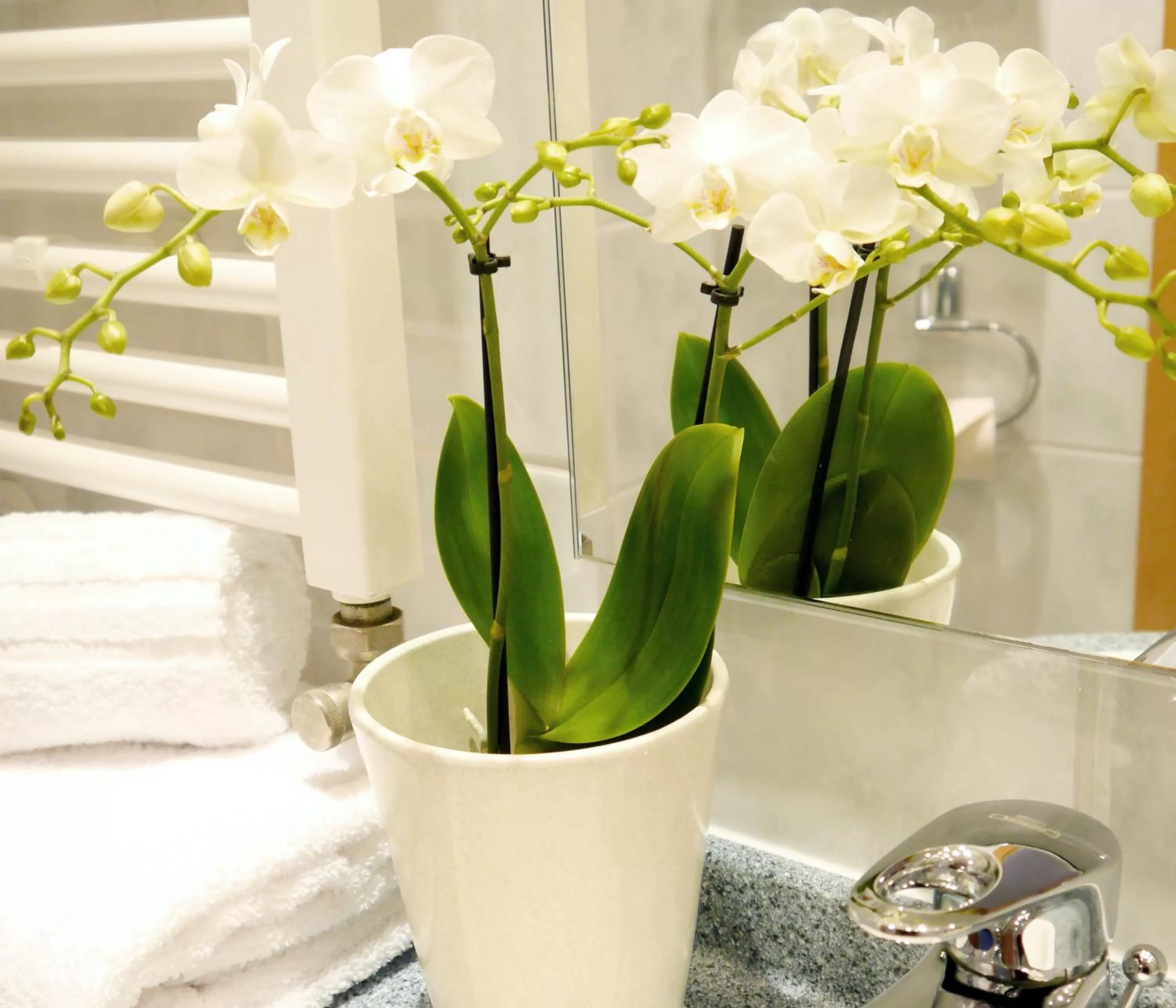 Breakfast in Berghotel Zollersteighof