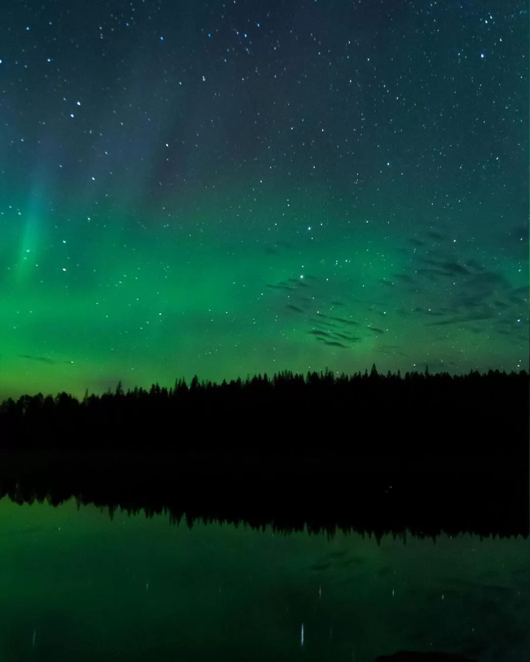 Natural landscape in Peace & Quiet Hotel