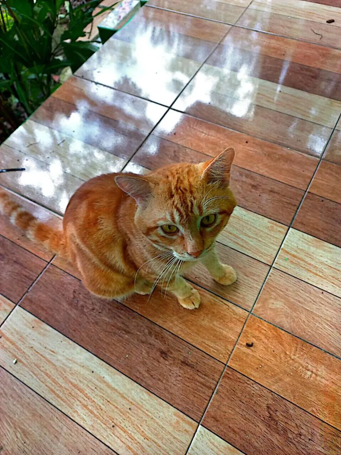 Lobby or reception in Lanta Maikeaw Bungalow