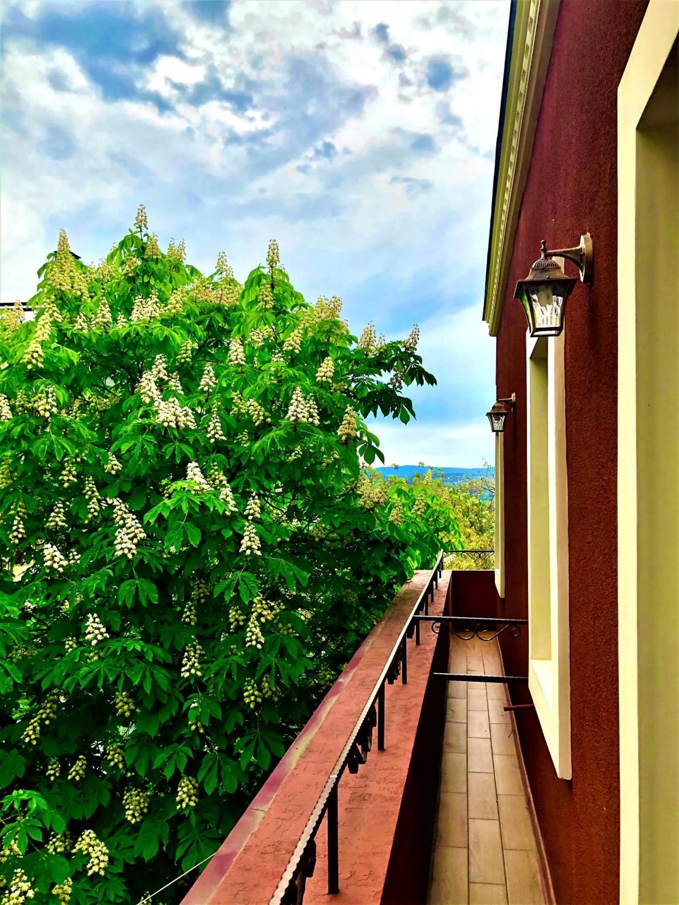 Balcony/Terrace in Hotel British House