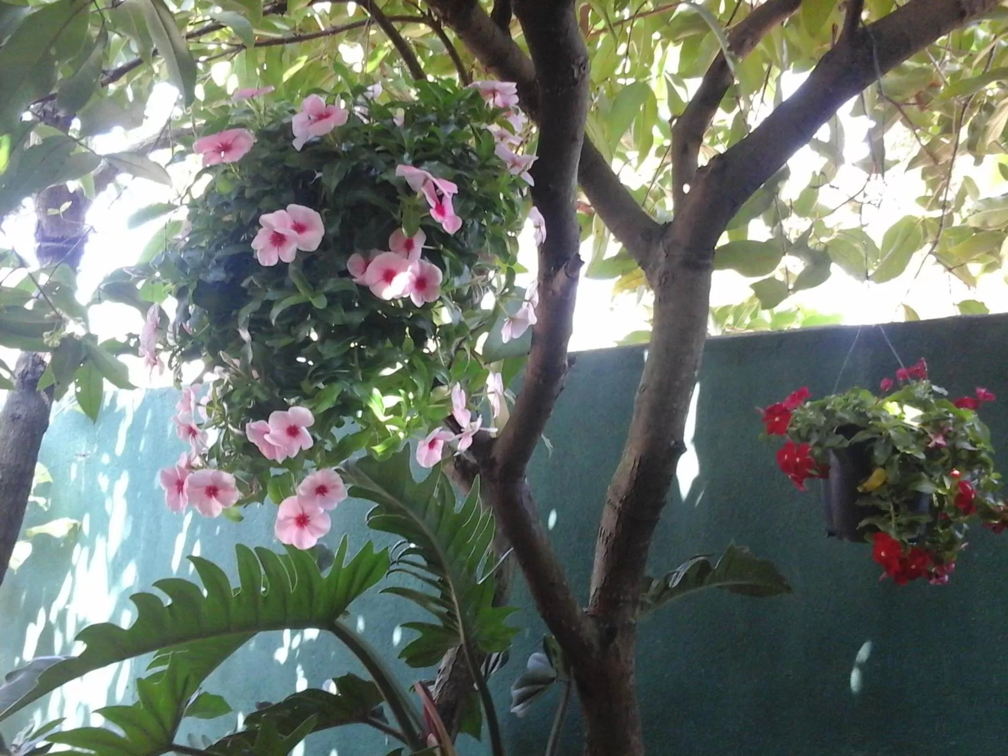 Other, Other Animals in House Of Esanya