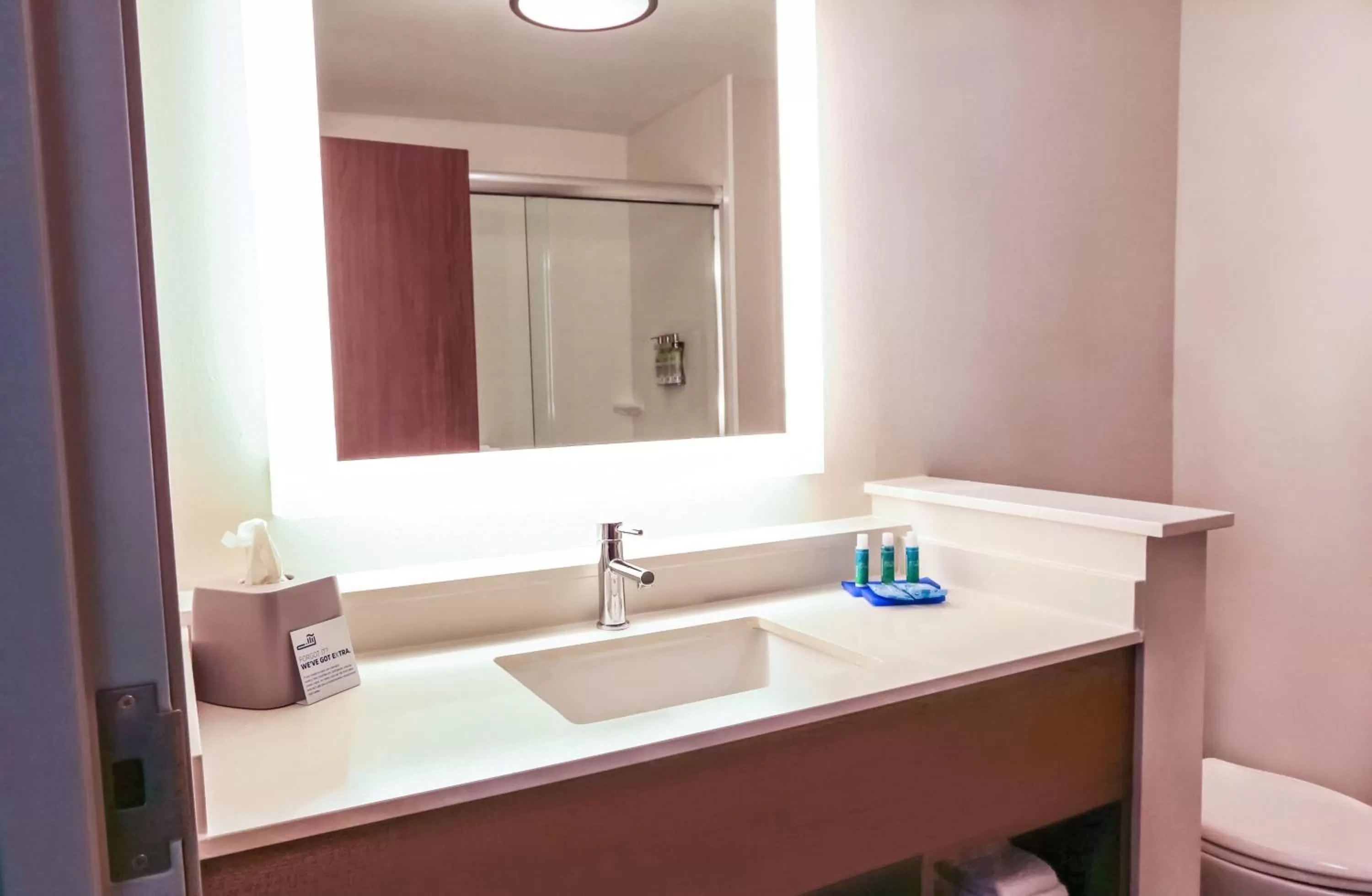 Bathroom in Holiday Inn Express & Suites - Houston IAH - Beltway 8 by IHG