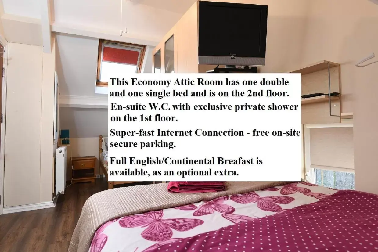 Economy Triple Room - single occupancy in Cilbrwyn Economy Triple Room - single occupancy in Cilbrwyn