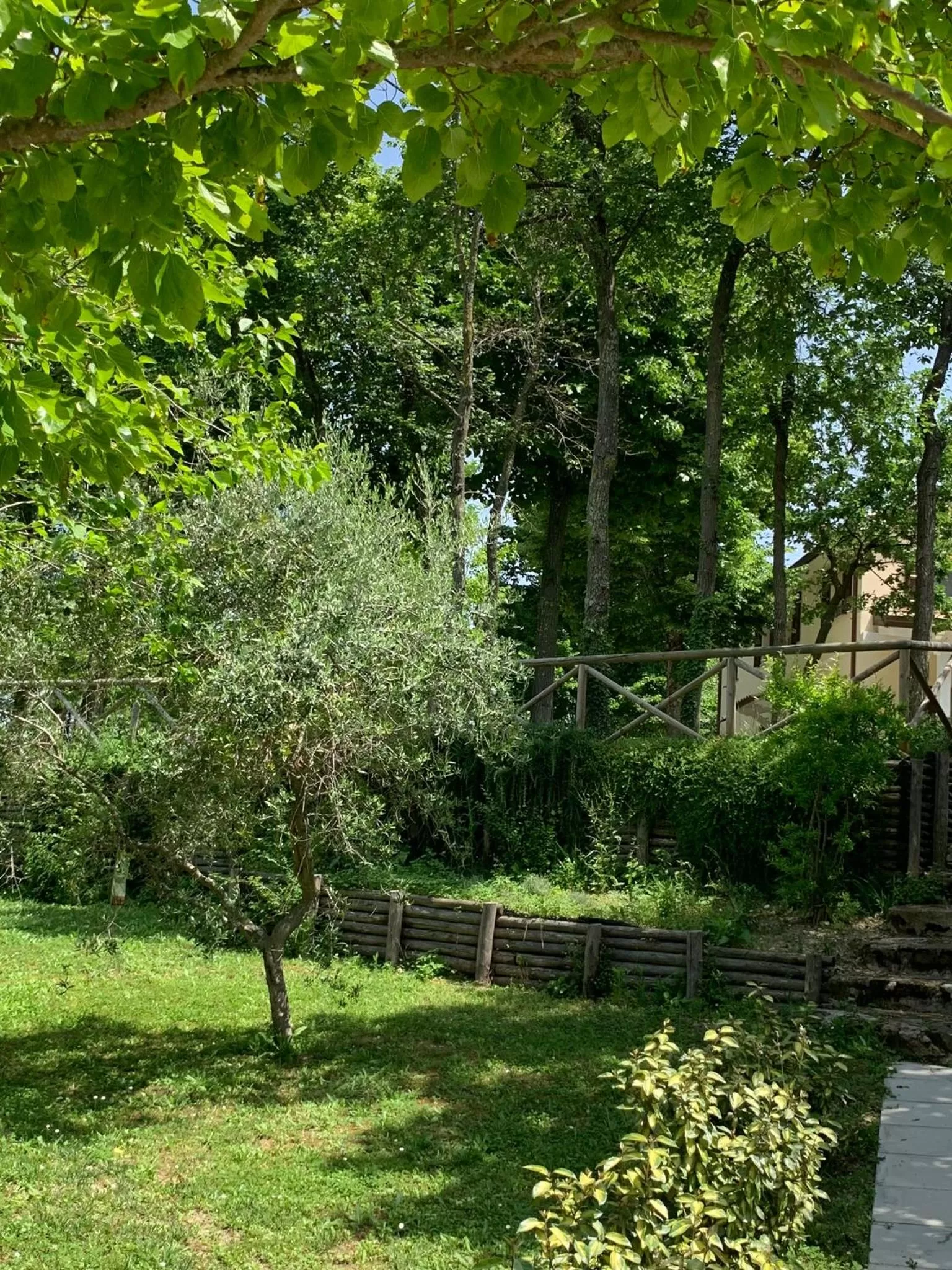 Garden view in Il Lauro