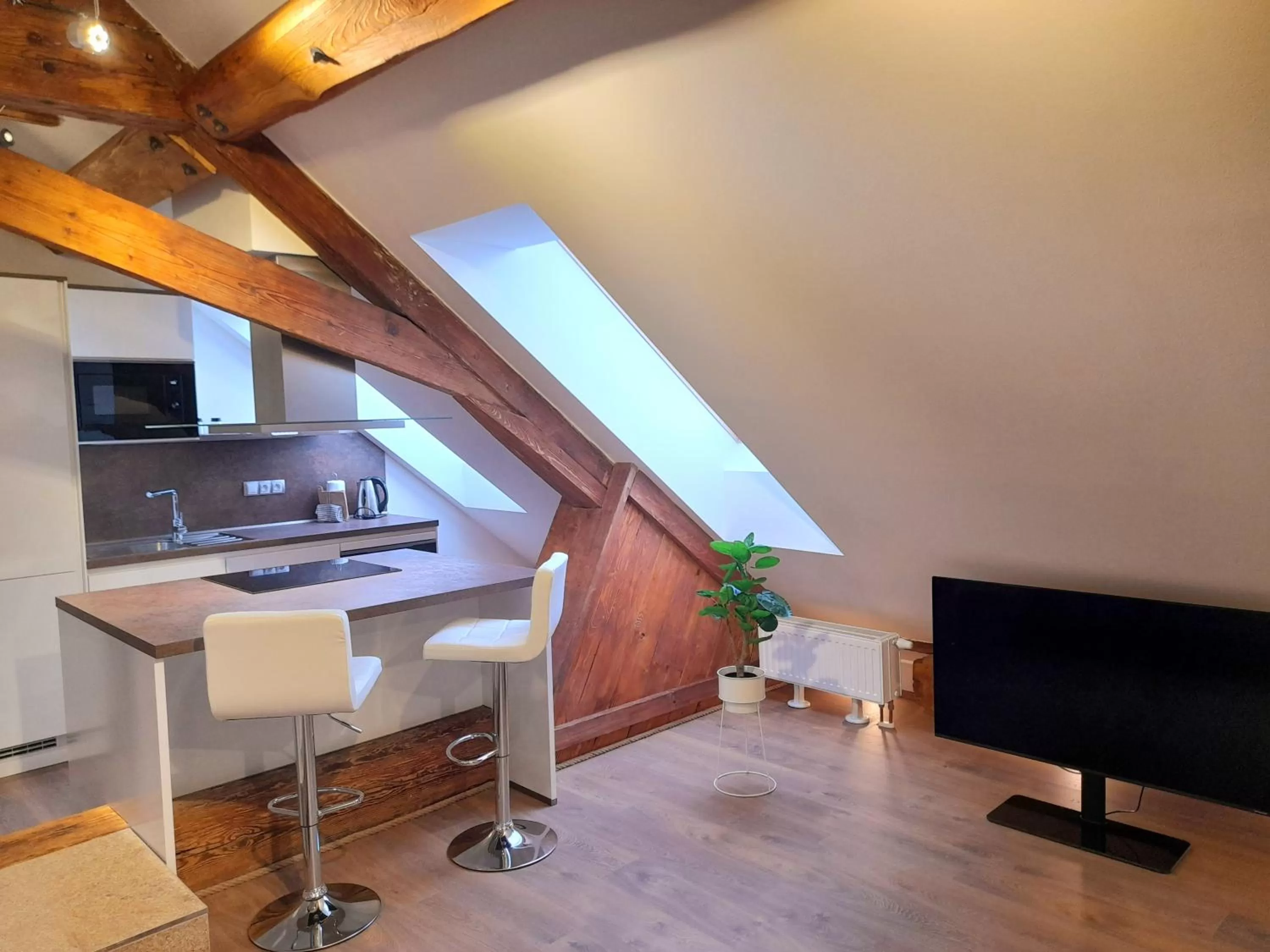 Kitchen or kitchenette, TV/Entertainment Center in Residence Mariánská