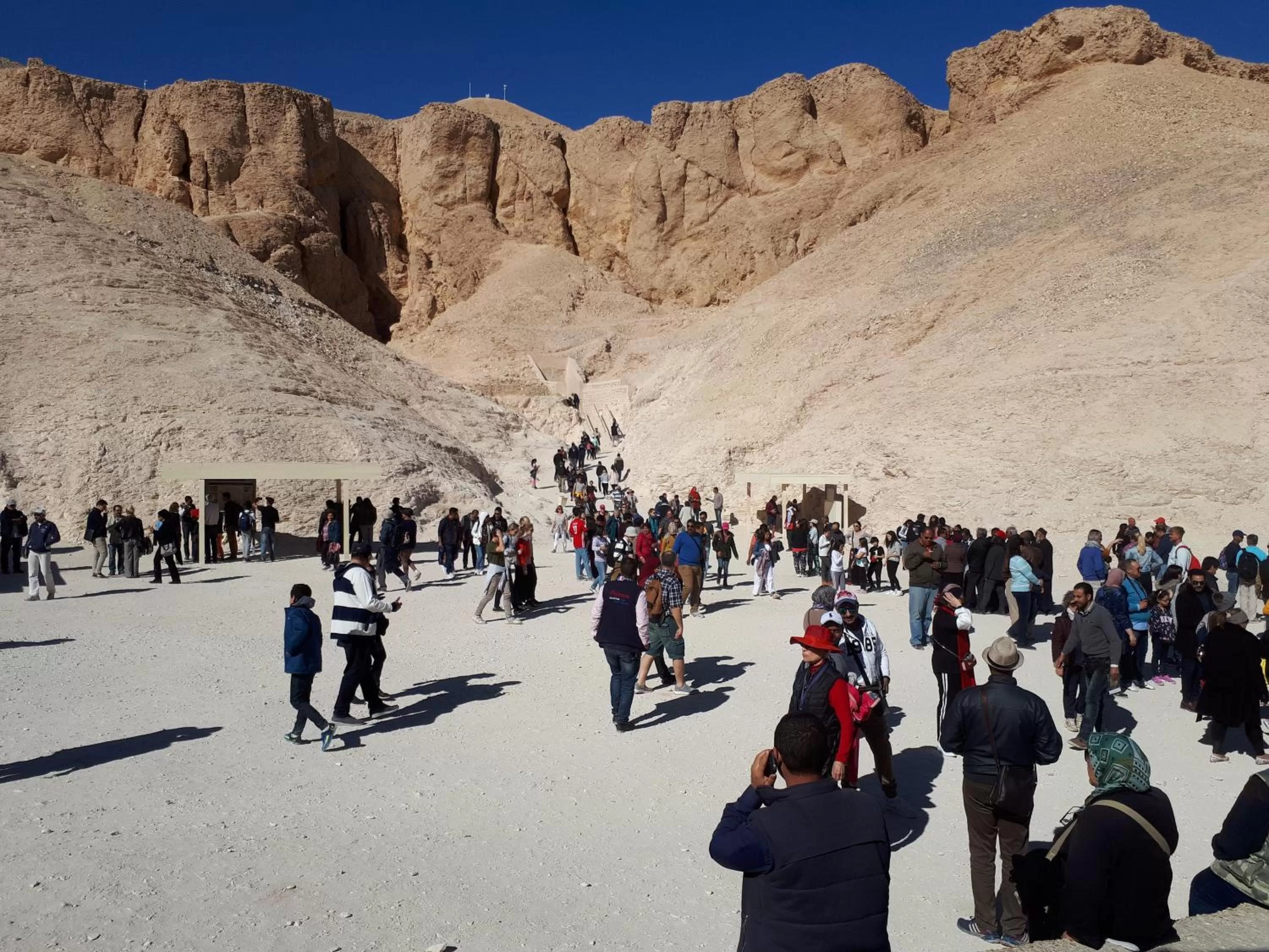 Winter in Sunflower Guest House Luxor West Bank