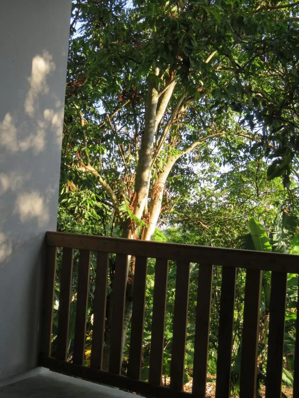 Balcony/Terrace in Lagoa Seca Hotel Rural