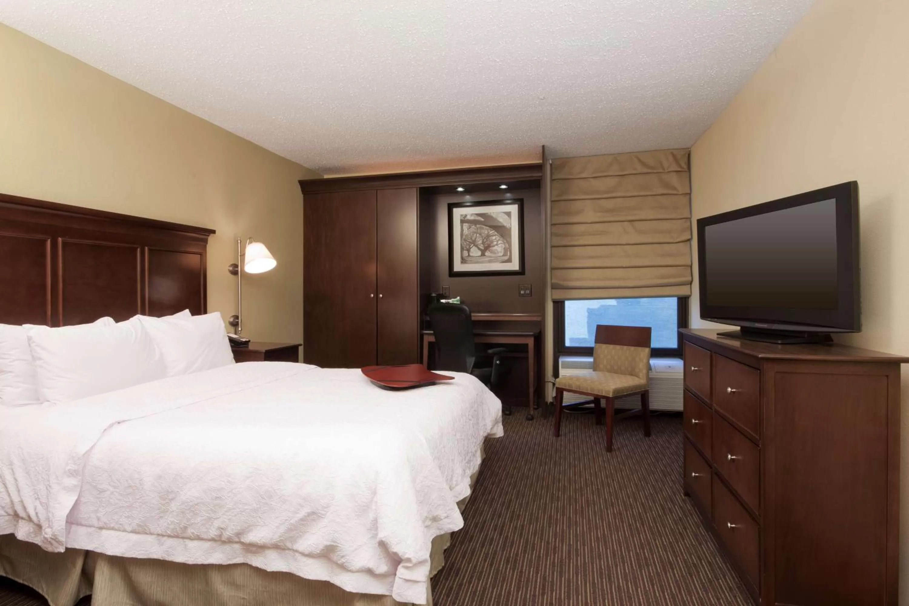 Double Room with Roll in Shower - Non-Smoking in Hampton Inn Indianapolis Northeast/Castleton