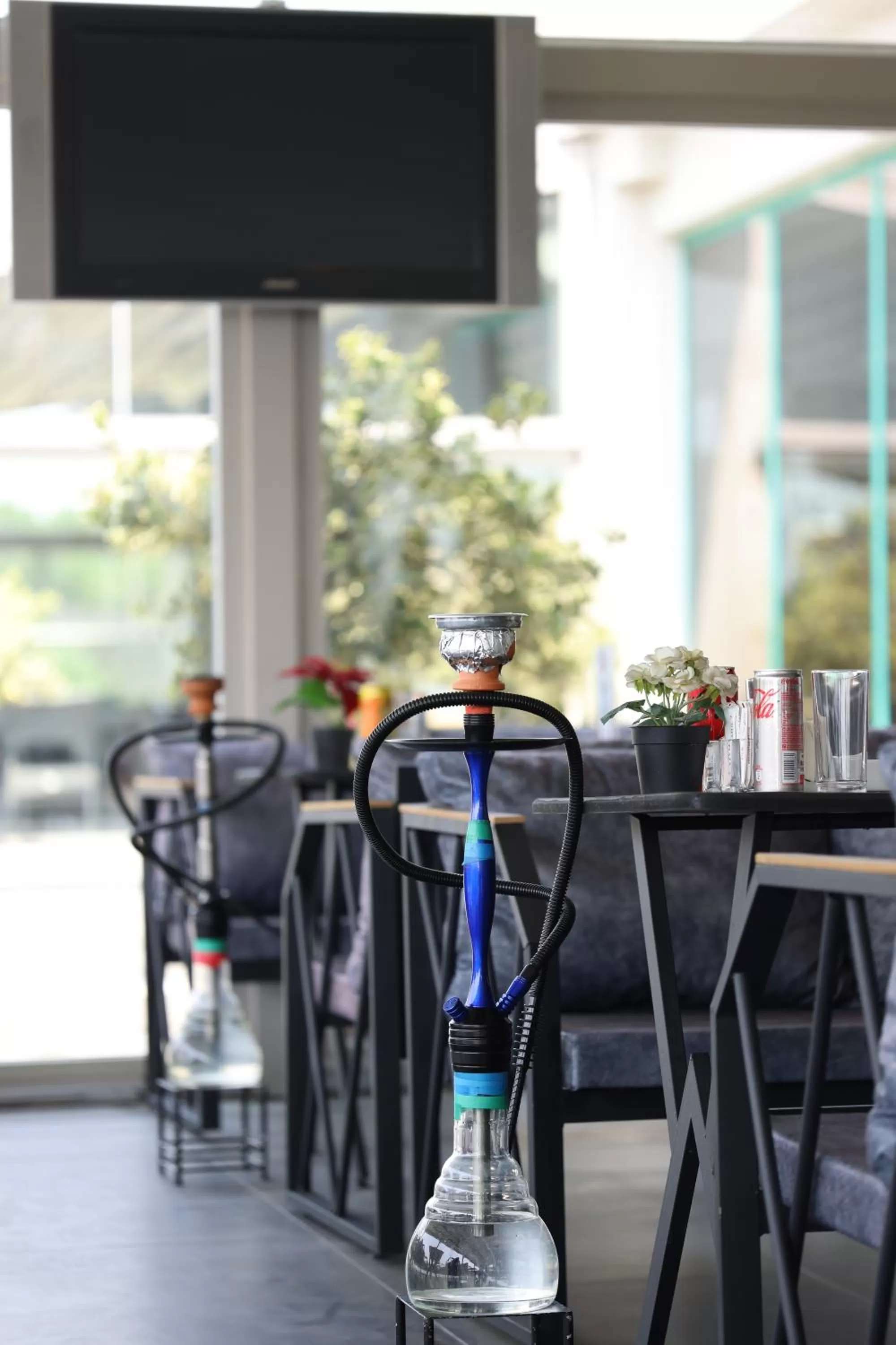 Garden, TV/Entertainment Center in Nova Plaza Prime Hotel