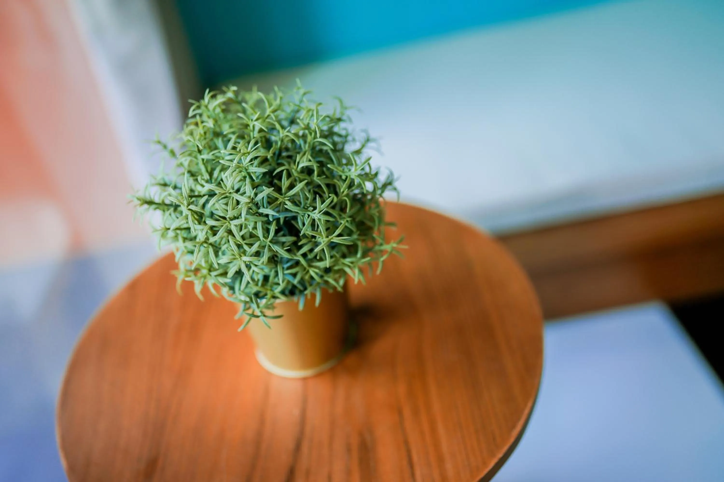 Area and facilities in Khaleej Mass Hotel Patong