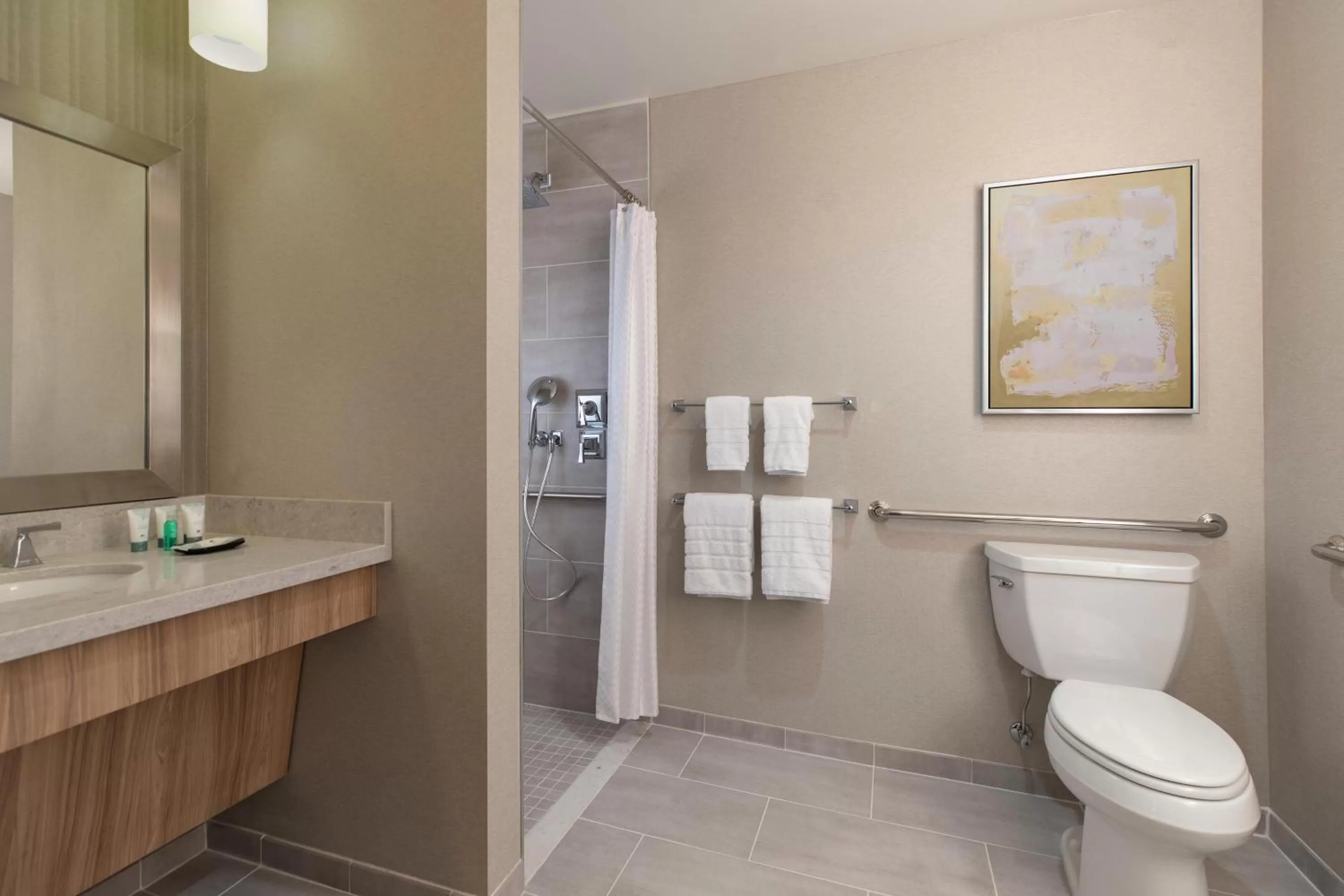 Bathroom in The Westin Chicago Lombard