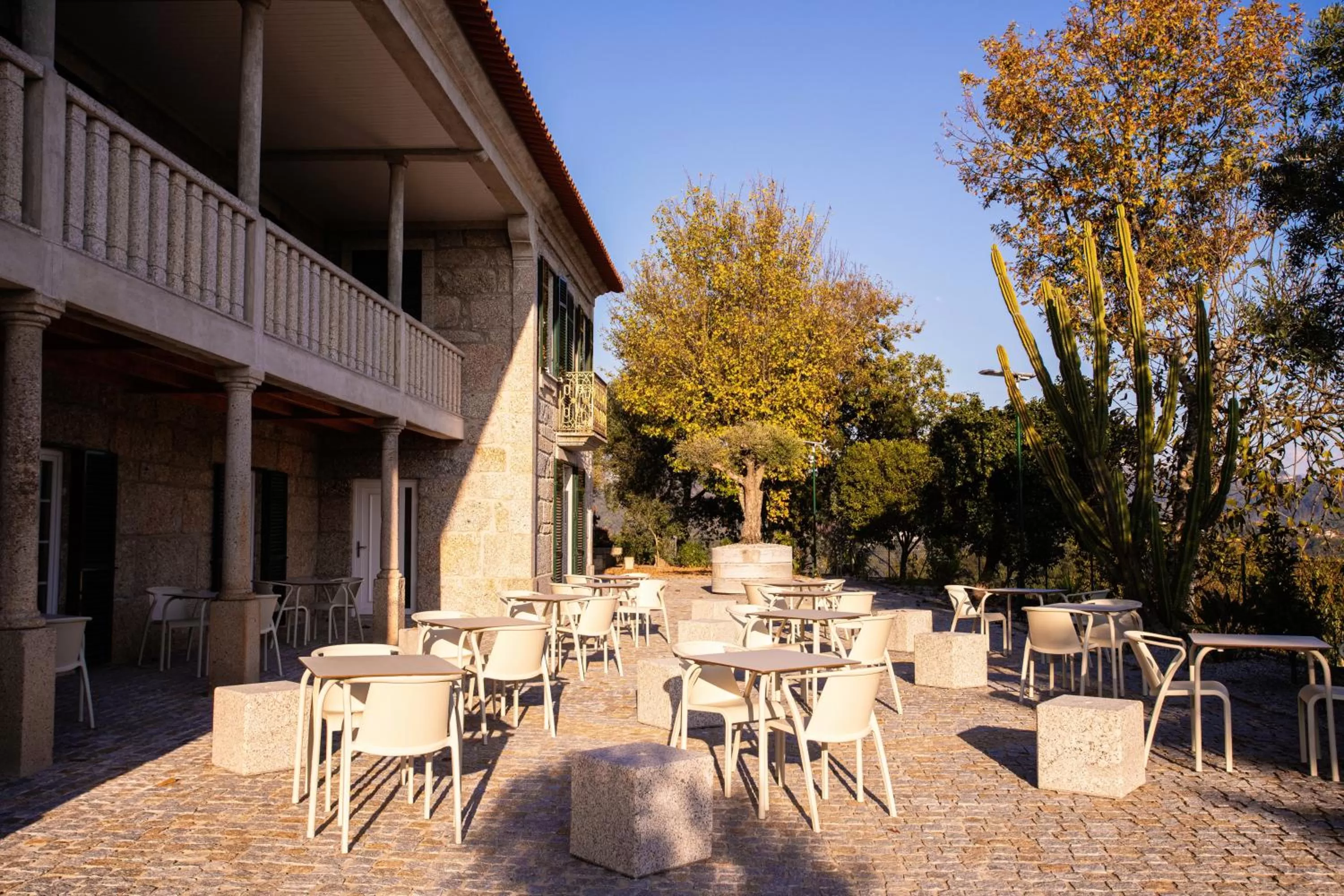 Restaurant/places to eat in Fonte Velha