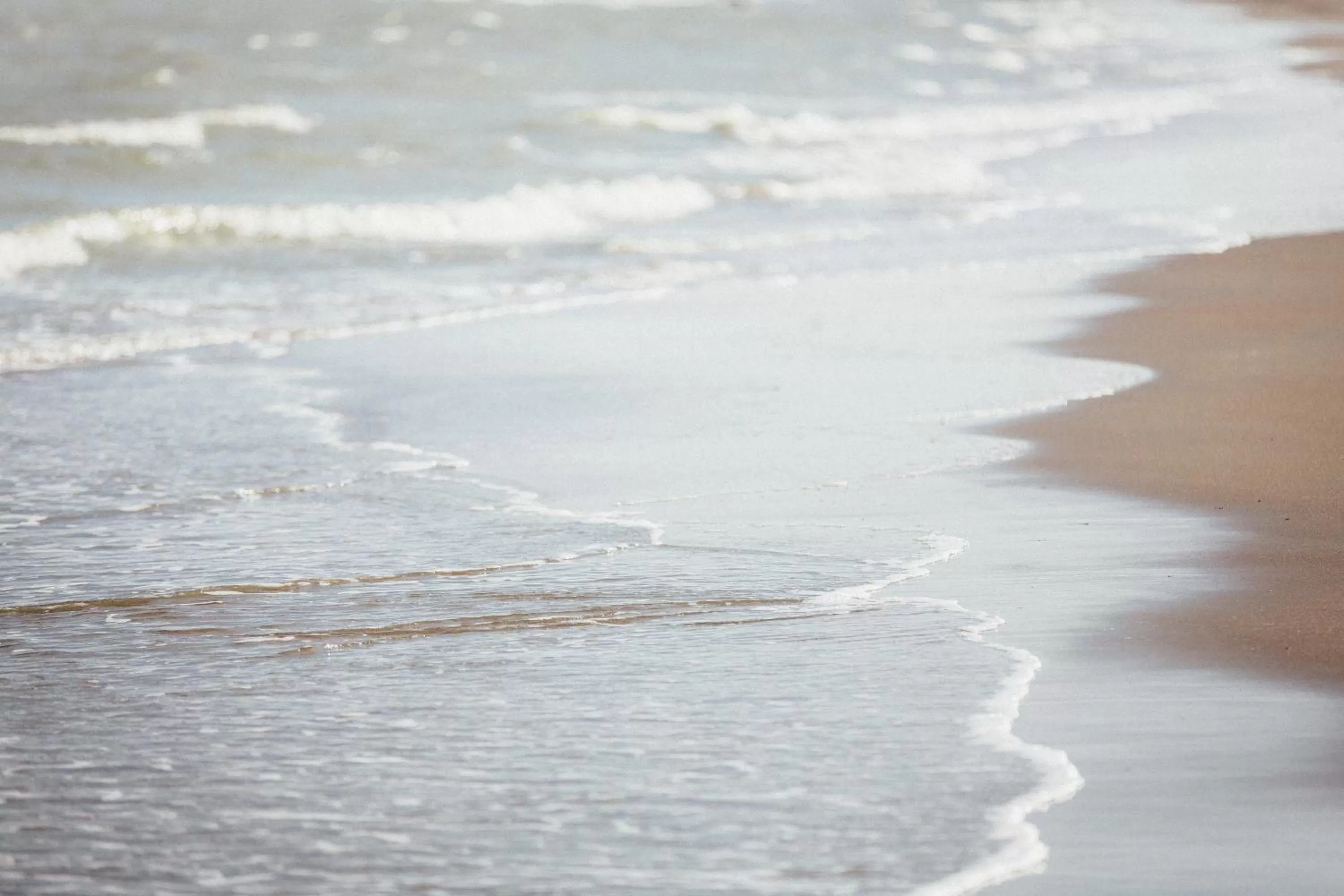 Natural landscape in Prado Next Door