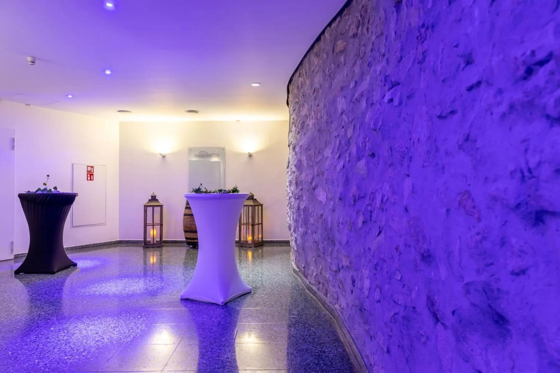 Banquet/Function facilities in Novotel Mainz