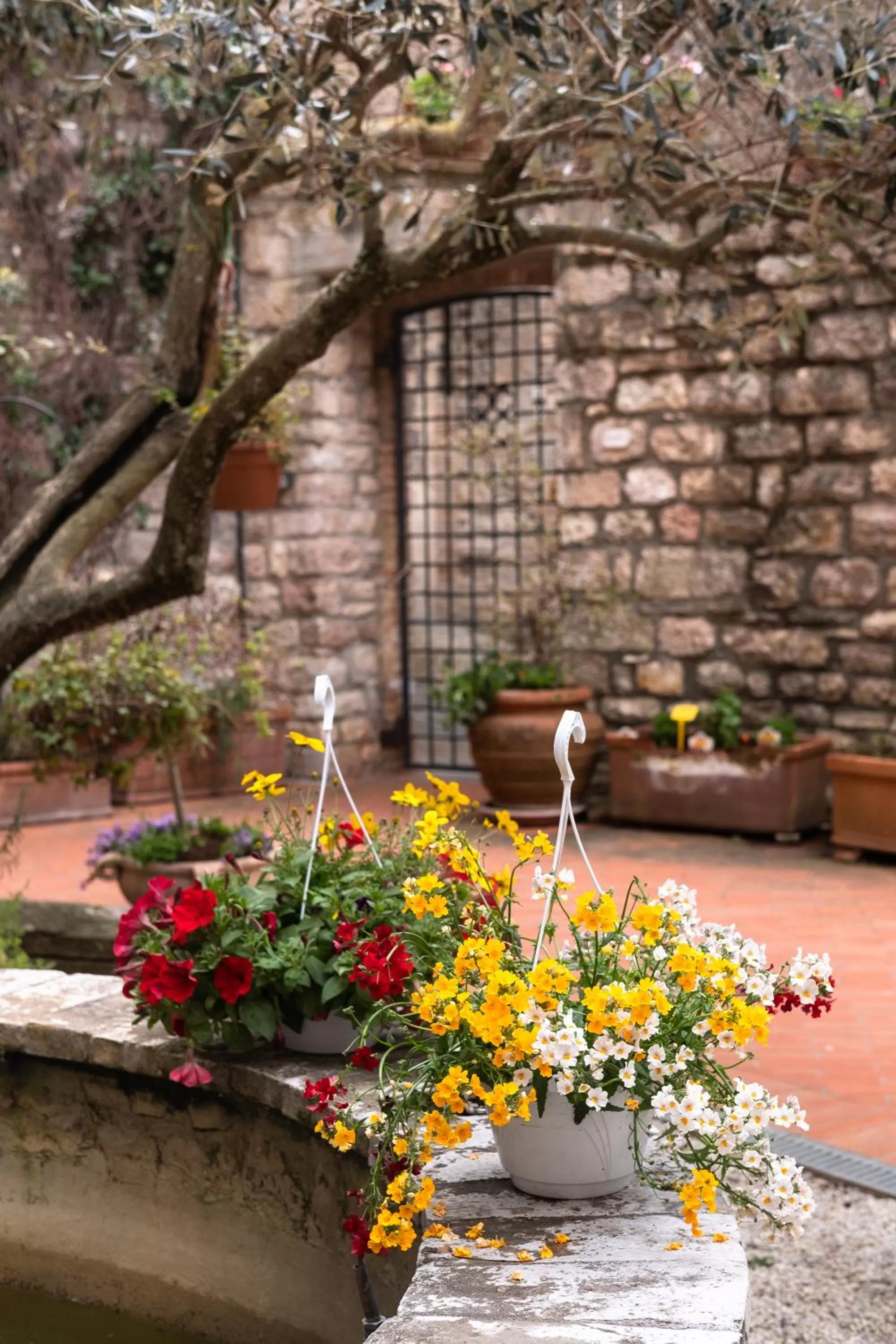 Garden in Relais Ducale
