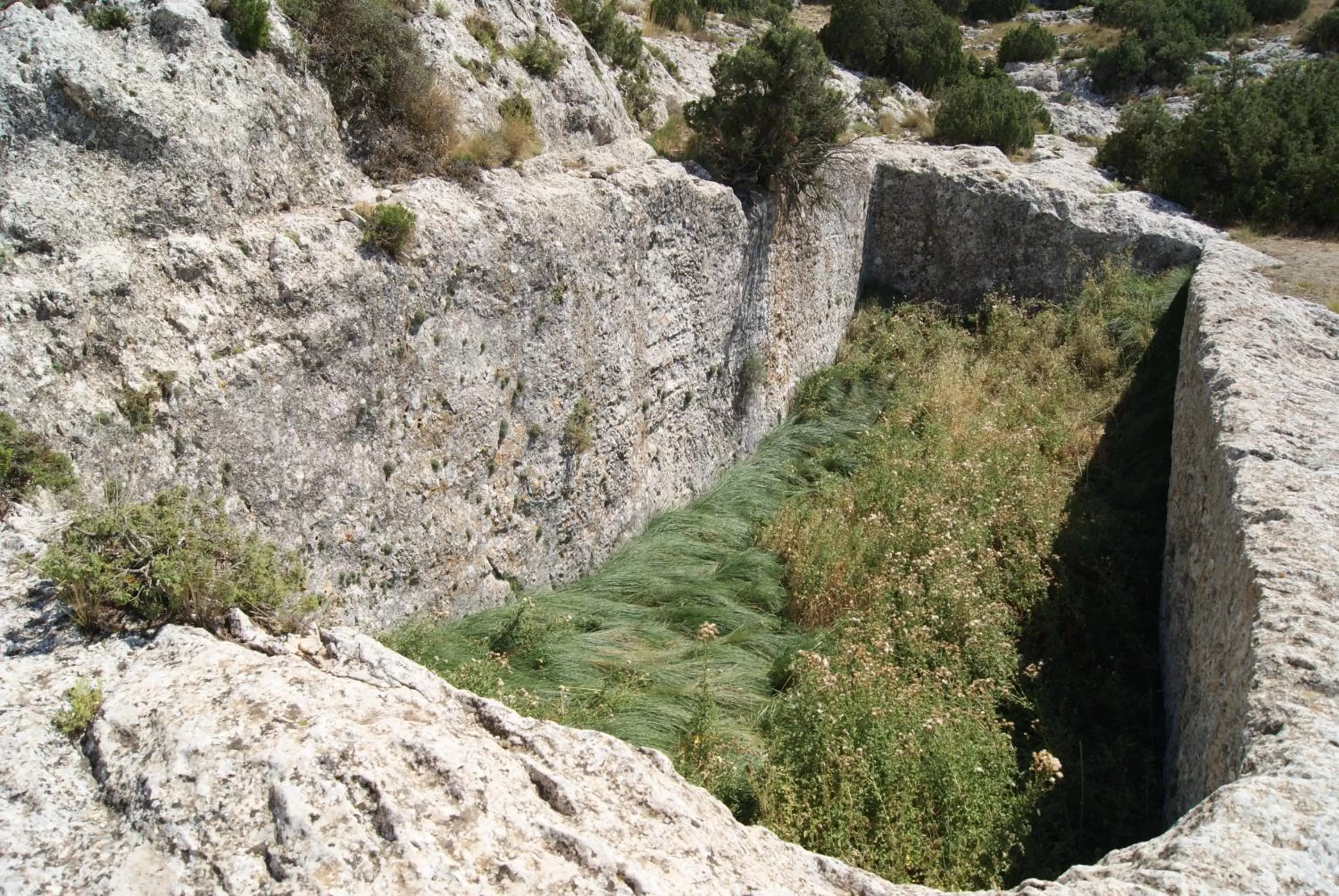 Activities in Finca El Romeral
