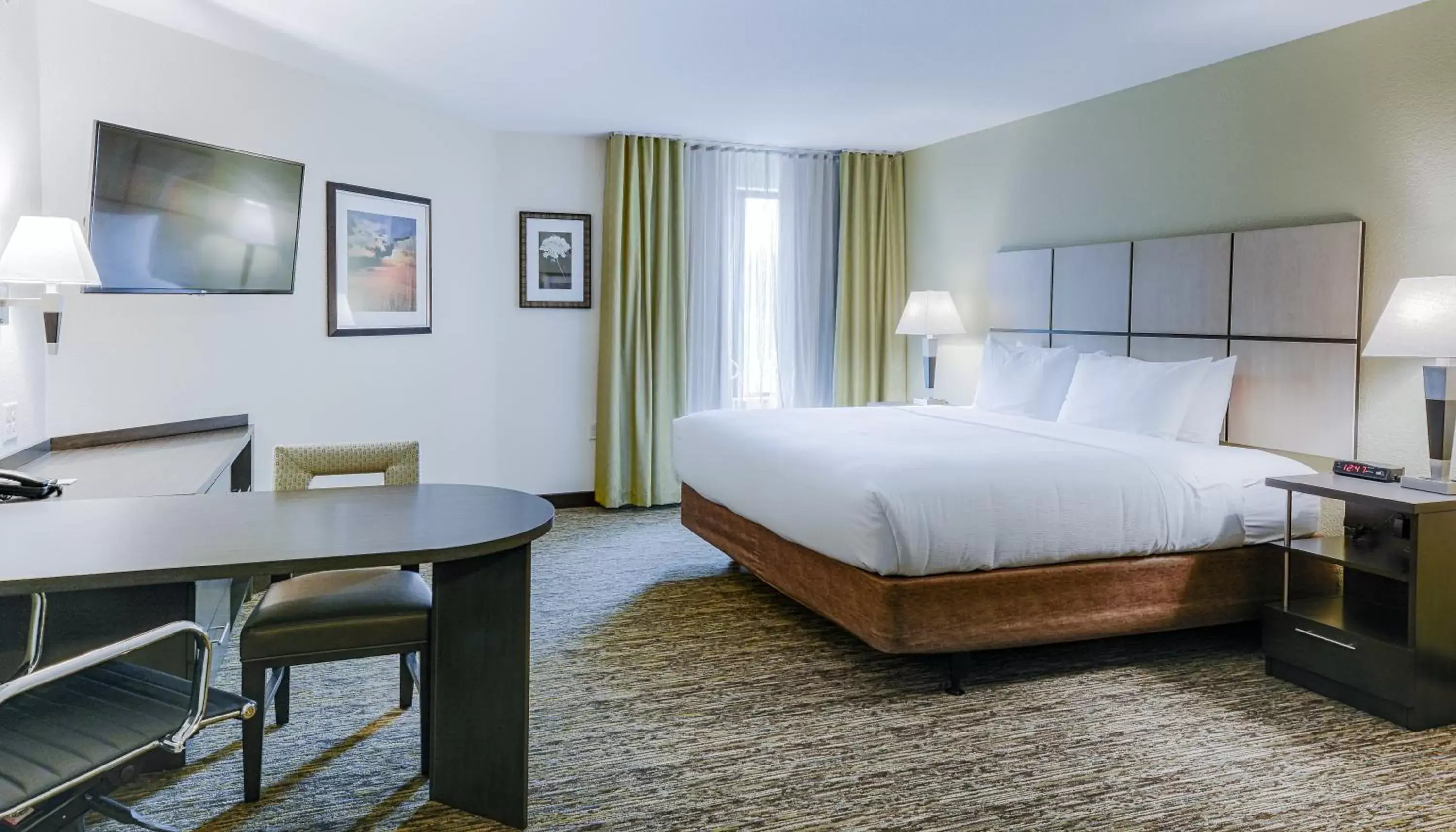 King Studio Suite in Candlewood Suites Lakeville I-35 by IHG King Studio Suite in Candlewood Suites Lakeville I-35 by IHG