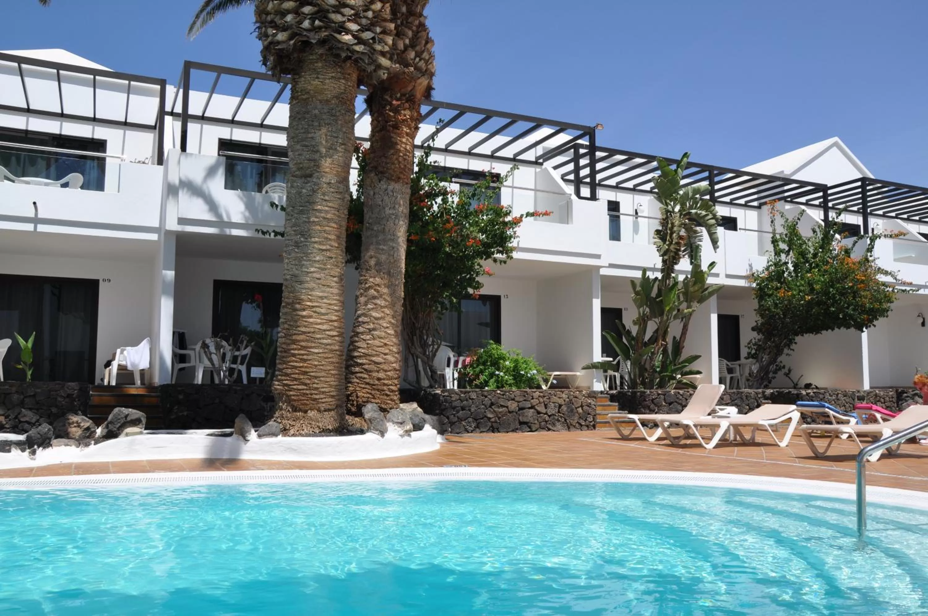 Swimming pool in Los Tulipanes