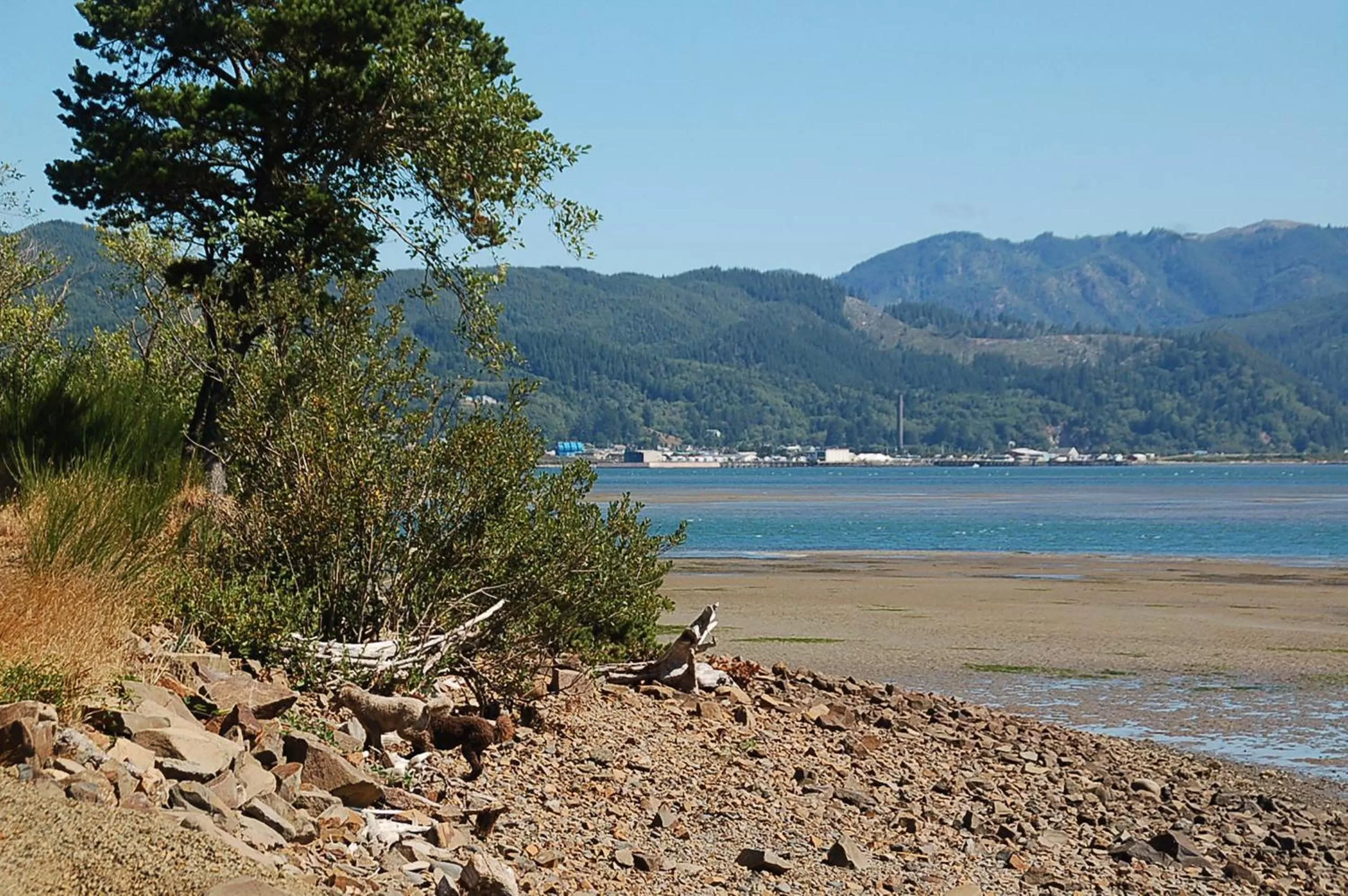 Beach in Sheltered Nook On Tillamook Bay
